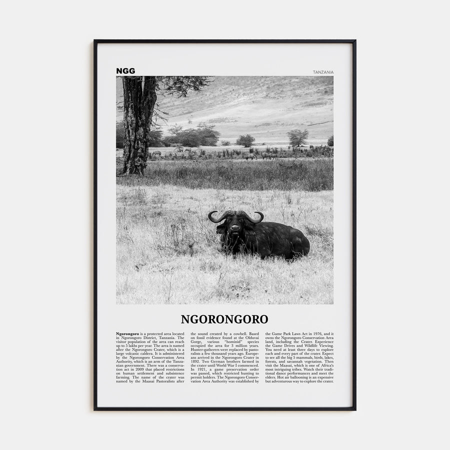 Ngorongoro Travel B&W Poster