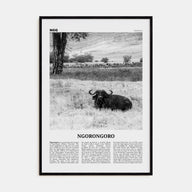 Ngorongoro Travel B&W Poster