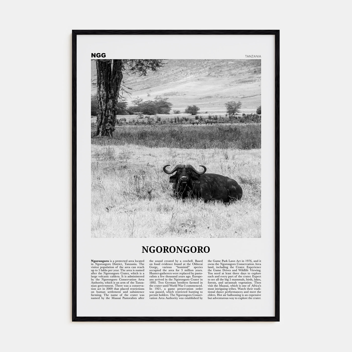 Ngorongoro Travel B&W Poster