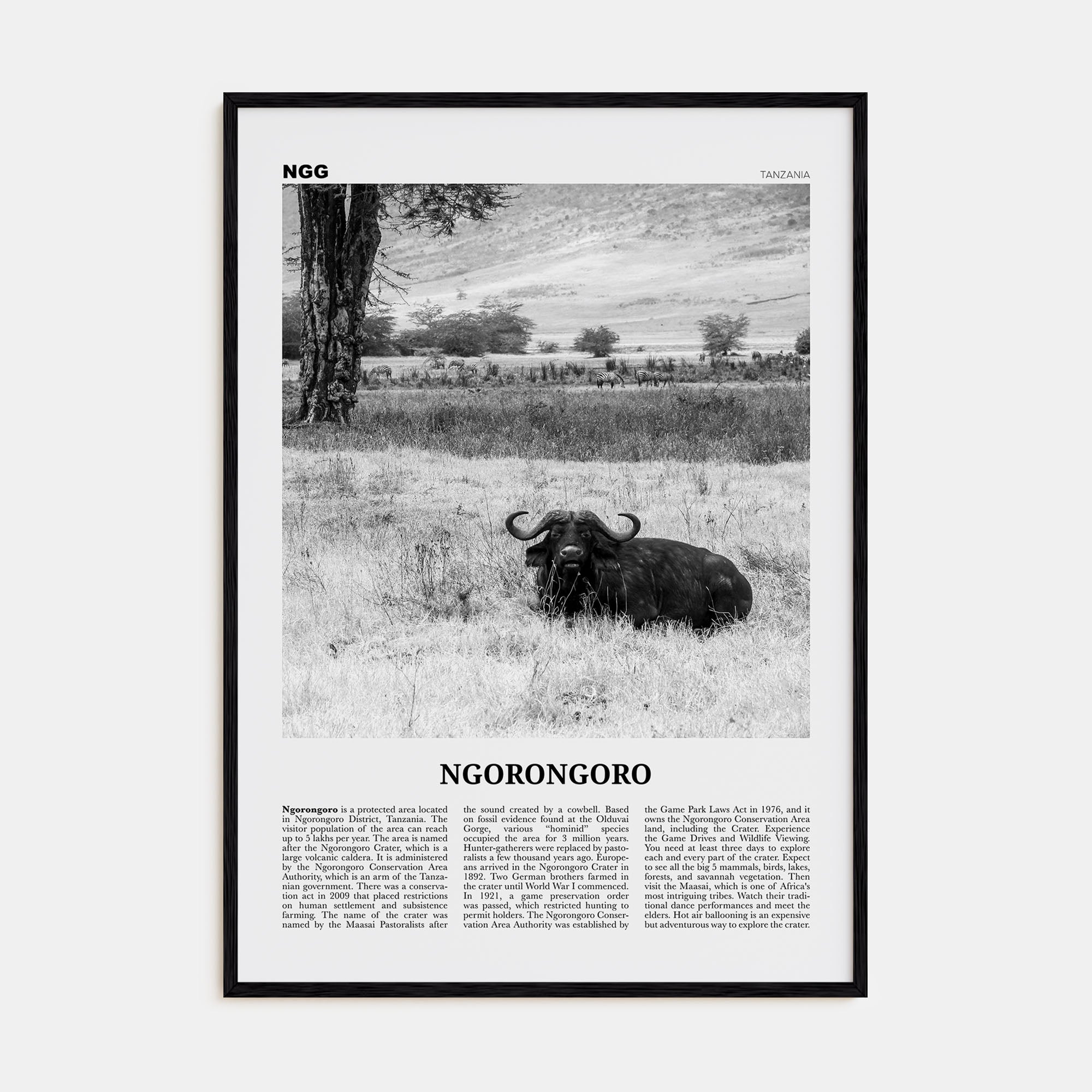 Ngorongoro Travel B&W Poster