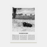 Ngorongoro Travel B&W Poster