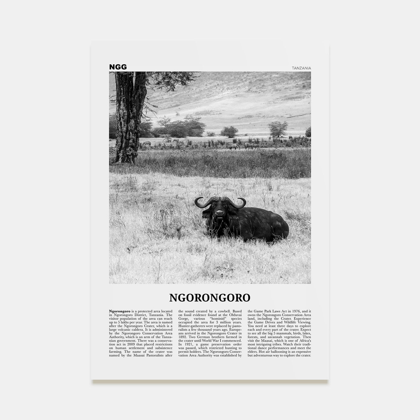 Ngorongoro Travel B&W Poster