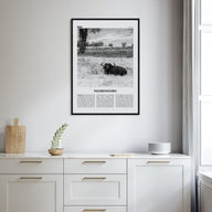 Ngorongoro Travel B&W Poster