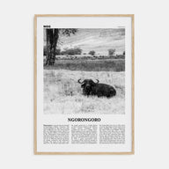 Ngorongoro Travel B&W Poster