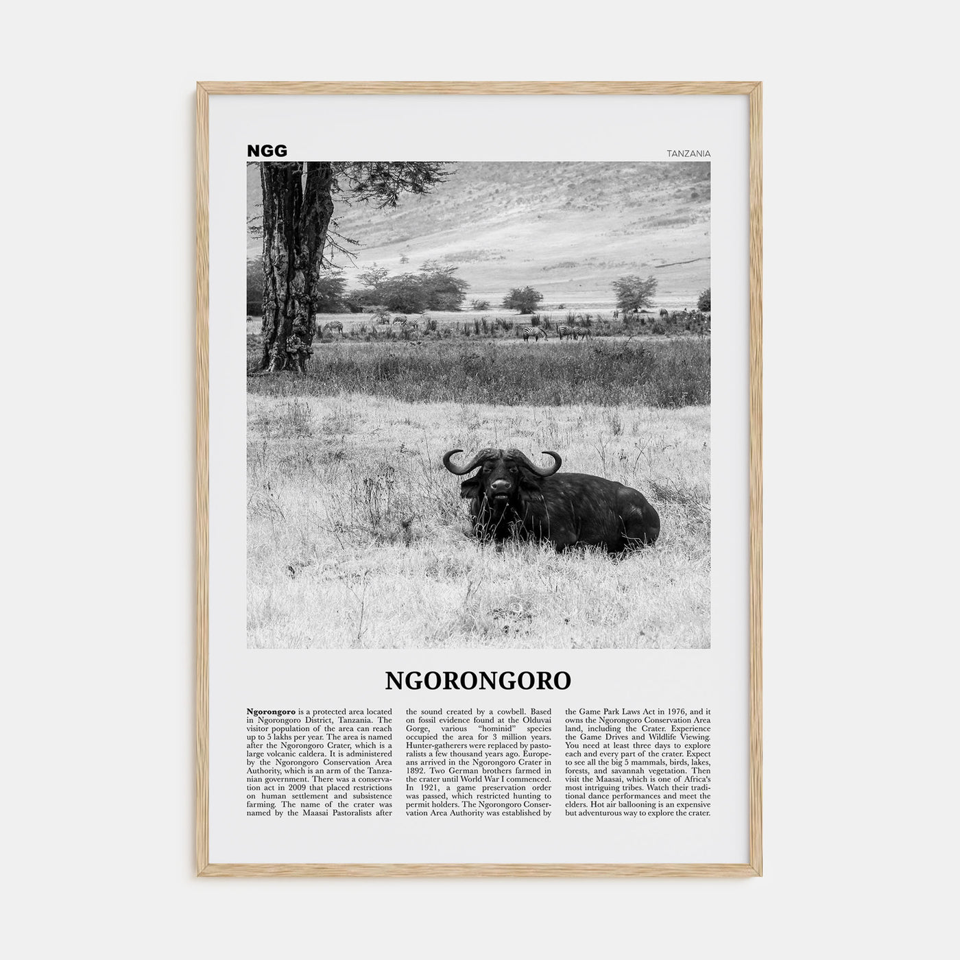 Ngorongoro Travel B&W Poster