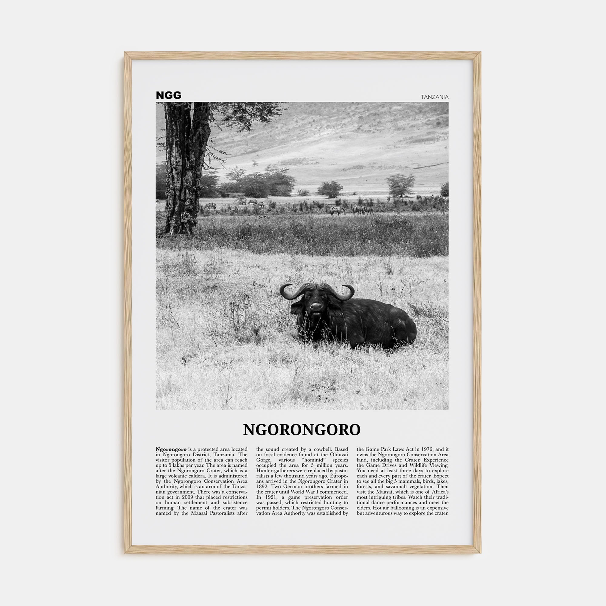 Ngorongoro Travel B&W Poster