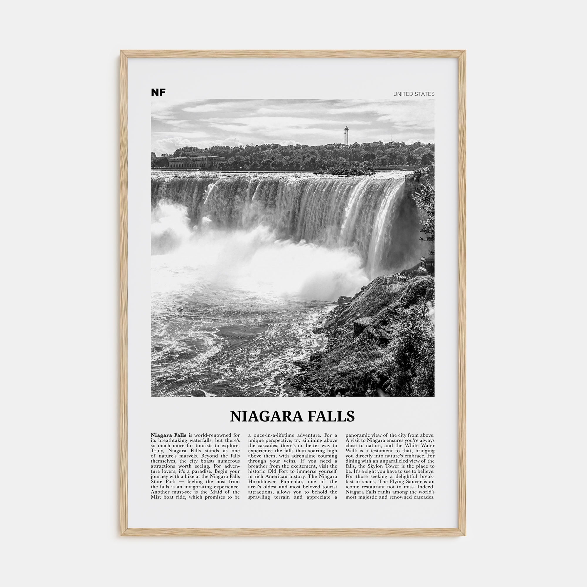 Niagara Falls, United States Travel B&W Poster