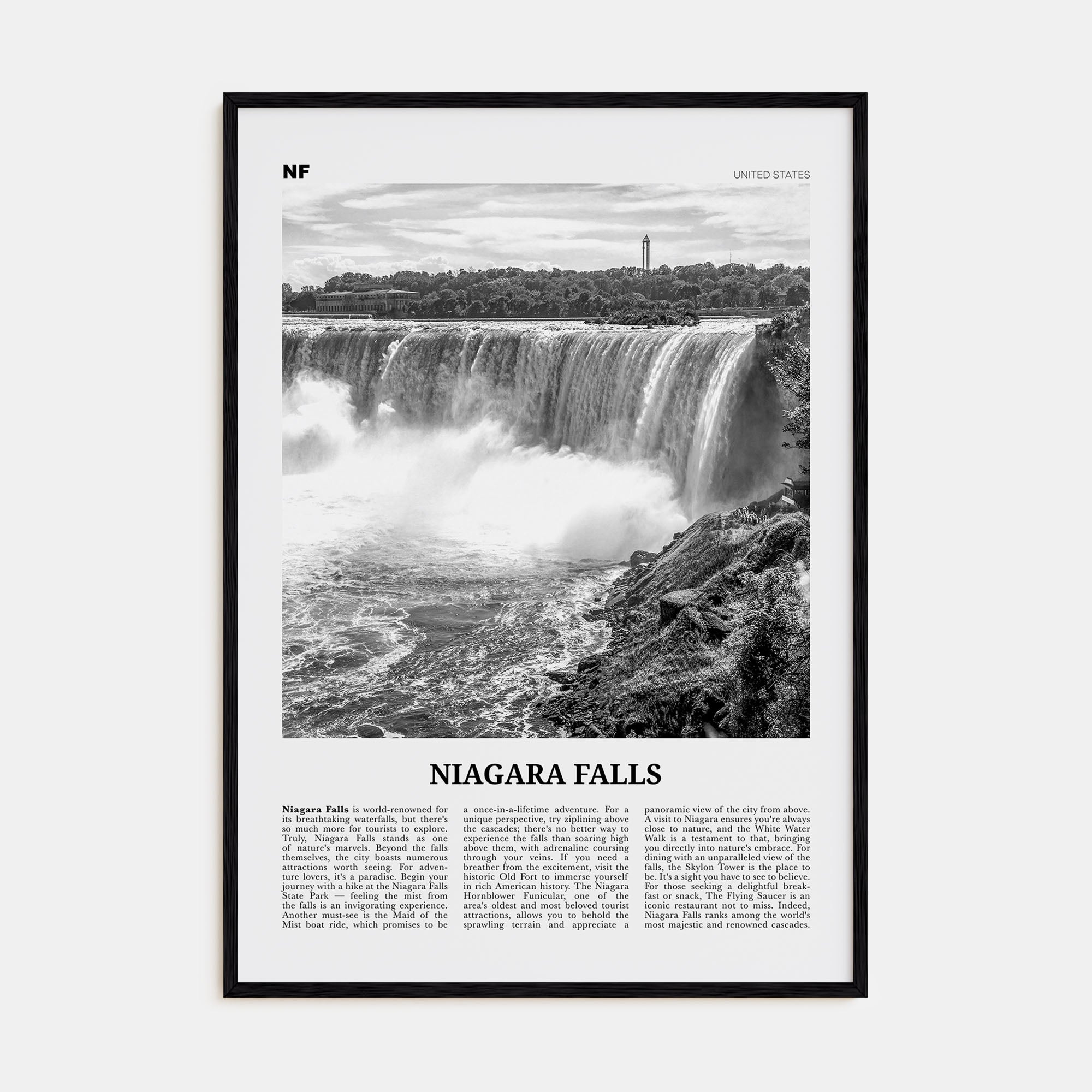 Niagara Falls, United States Travel B&W Poster