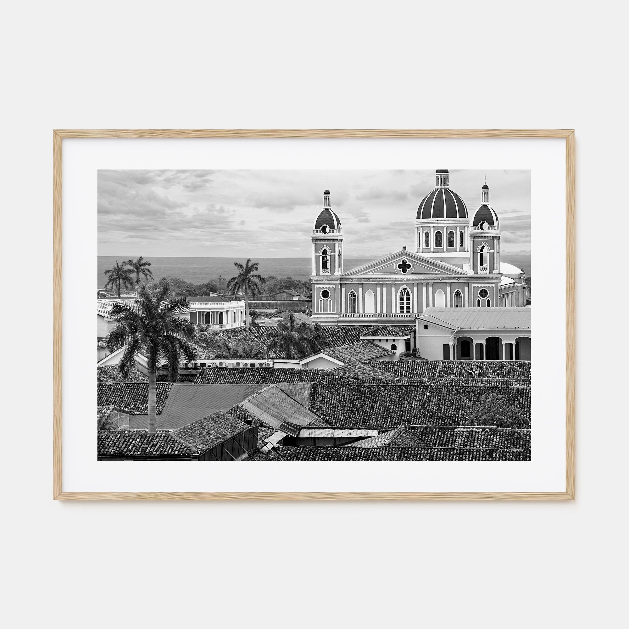 Nicaragua Landscape B&W Poster