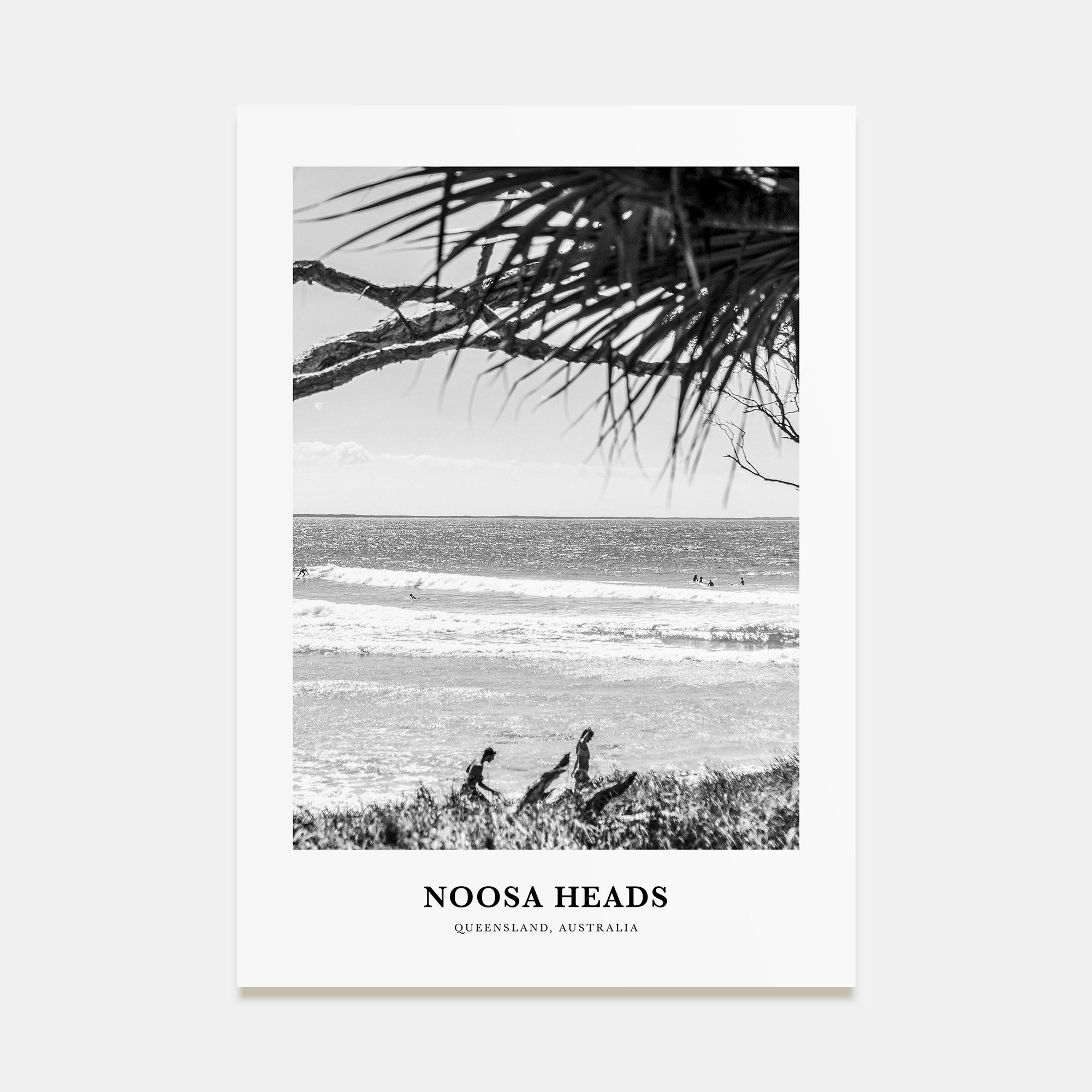 Noosa Heads Portrait B&W No 2 Poster