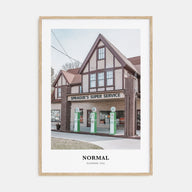 Normal Portrait Color Poster