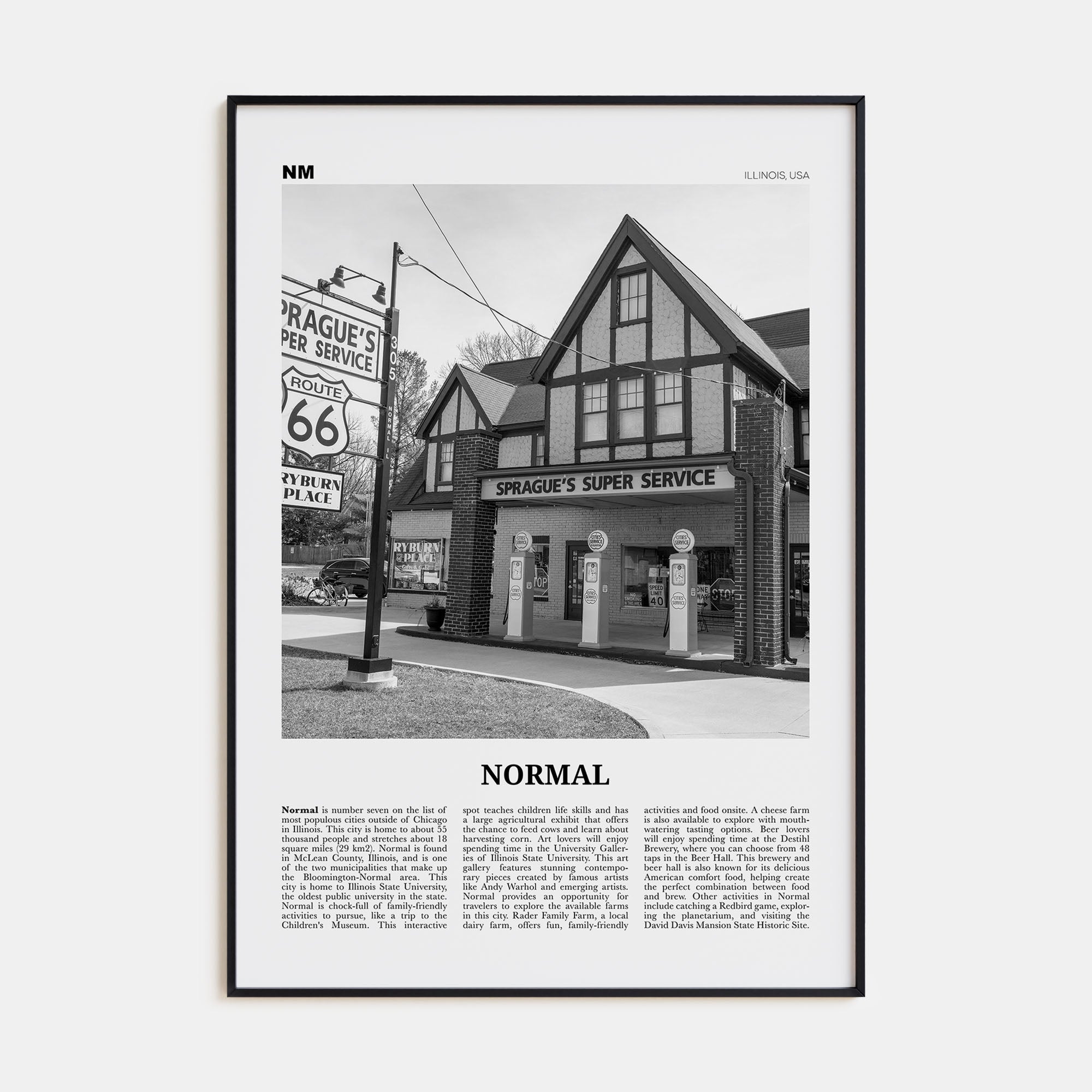 Normal Travel B&W Poster