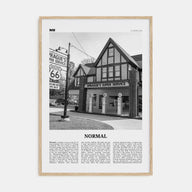 Normal Travel B&W Poster