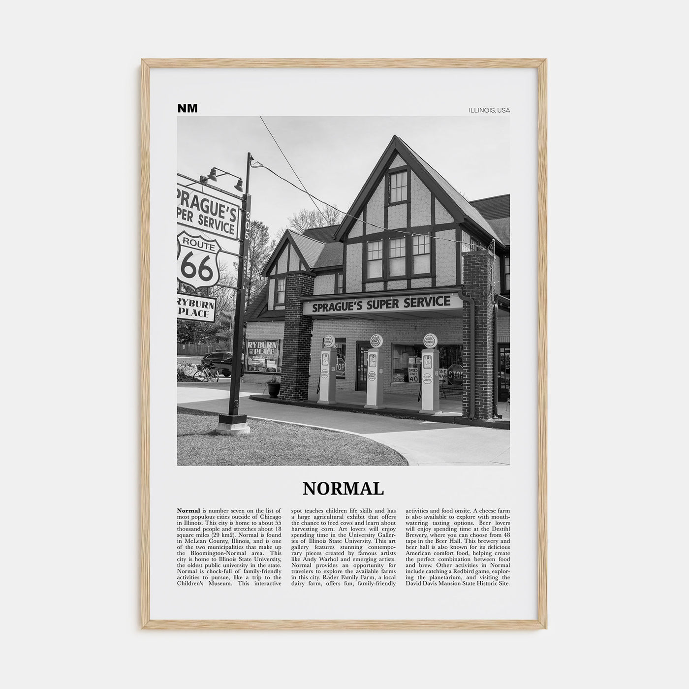 Normal Travel B&W Poster