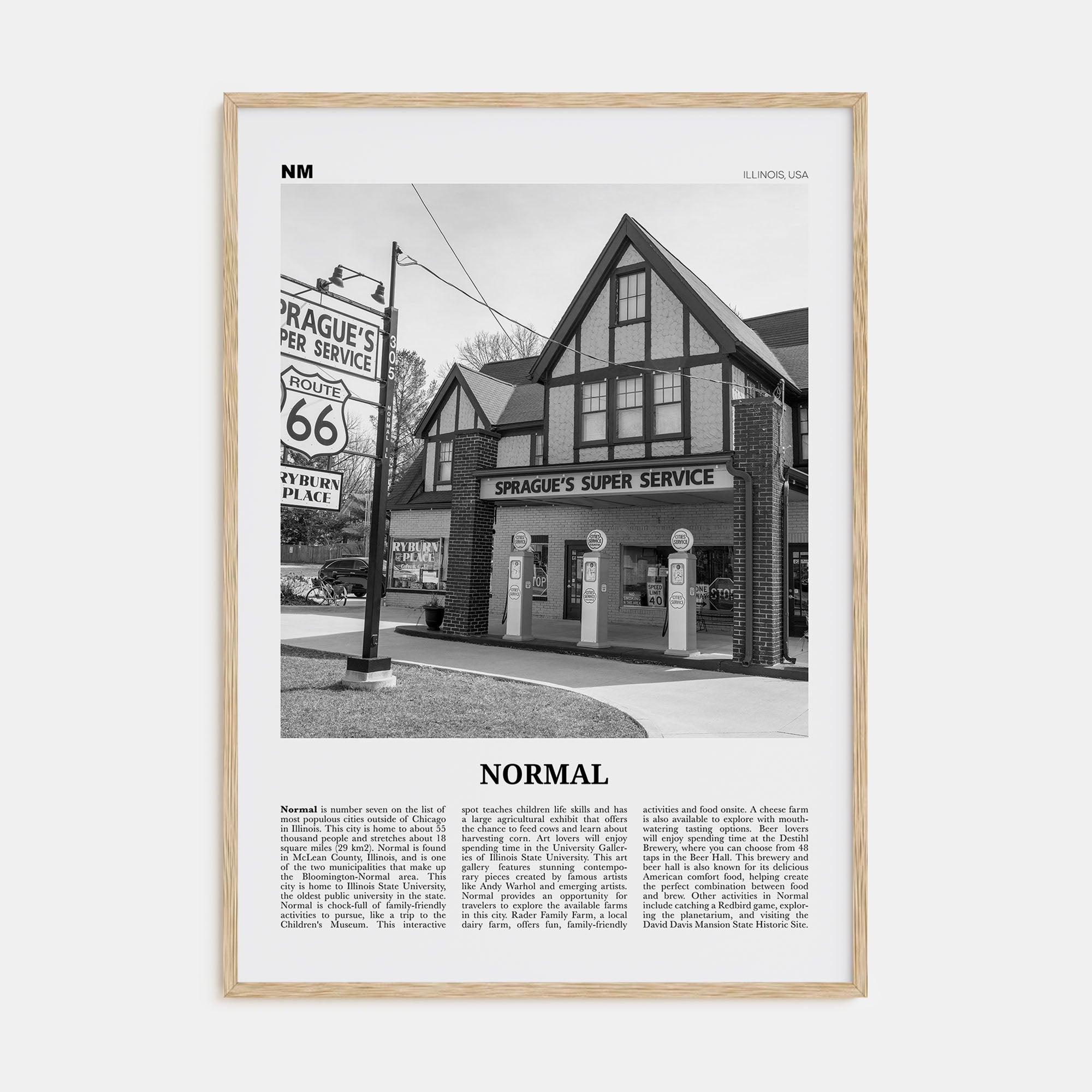 Normal Travel B&W Poster