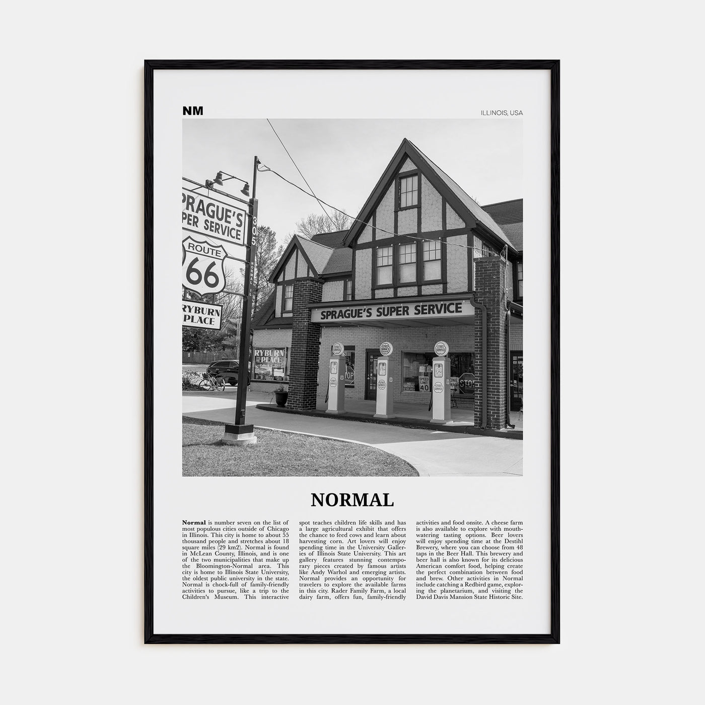 Normal Travel B&W Poster