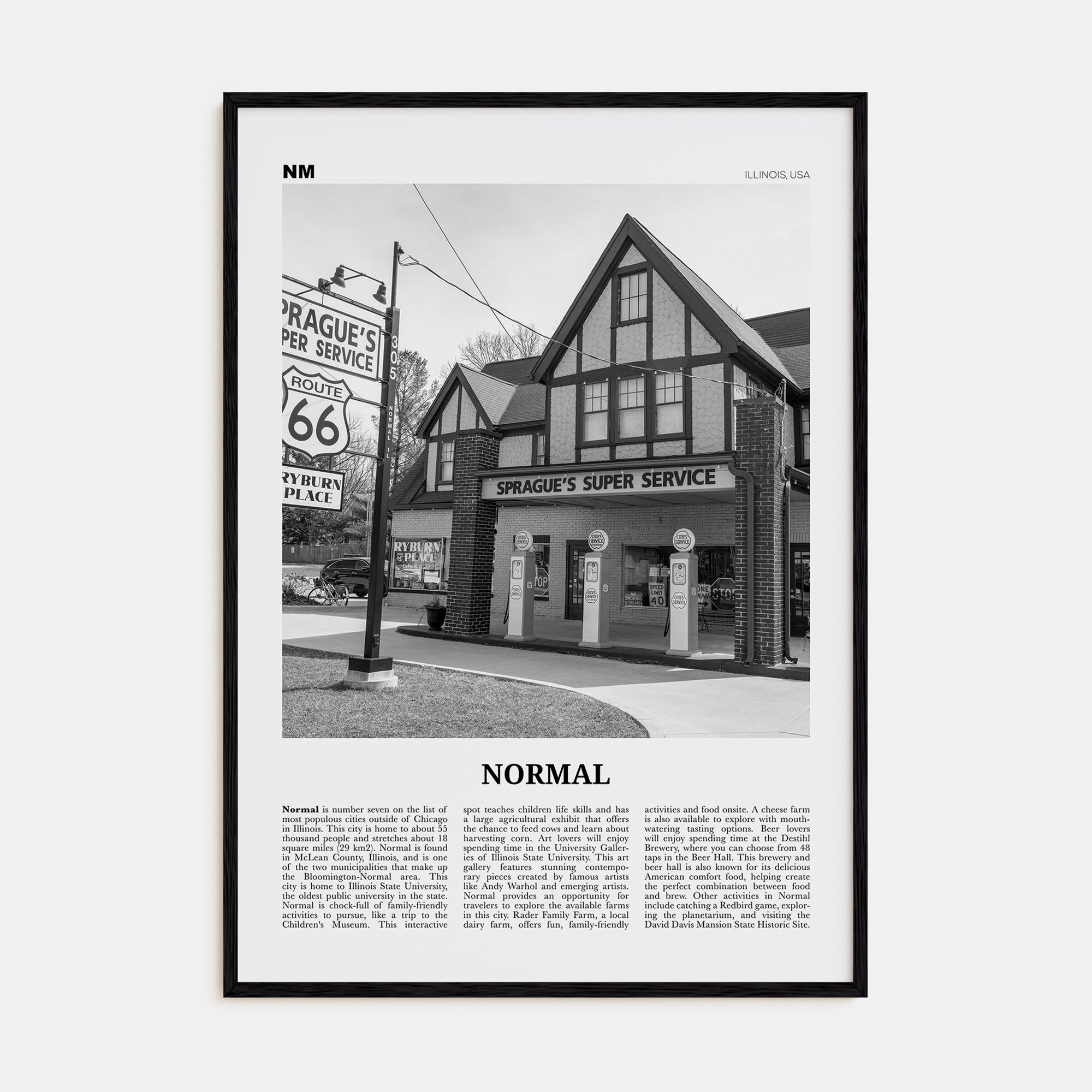 Normal Travel B&W Poster