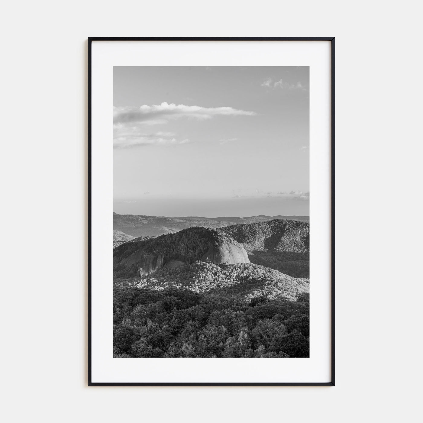 North Carolina Photo B&W No 1 Poster