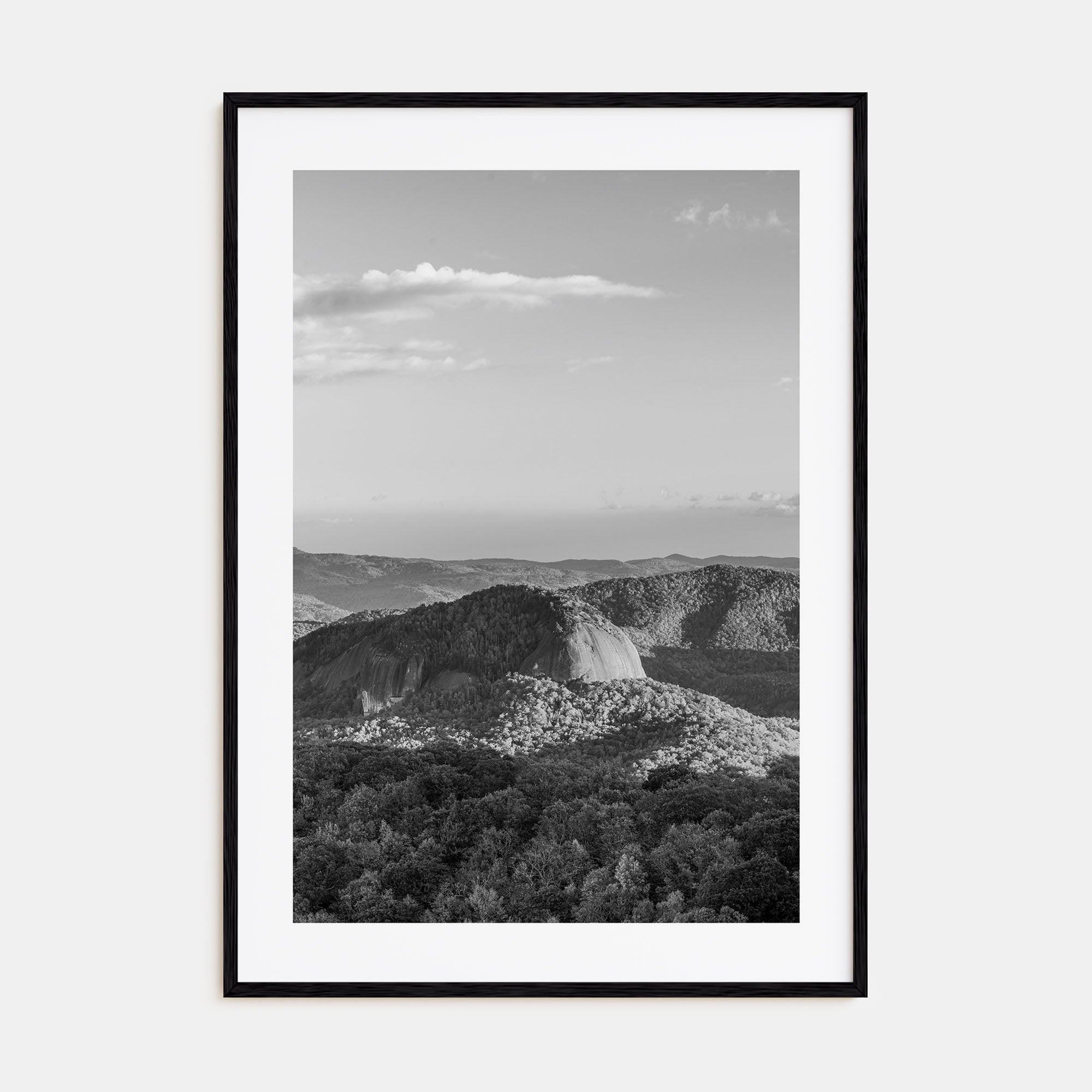 North Carolina Photo B&W No 1 Poster