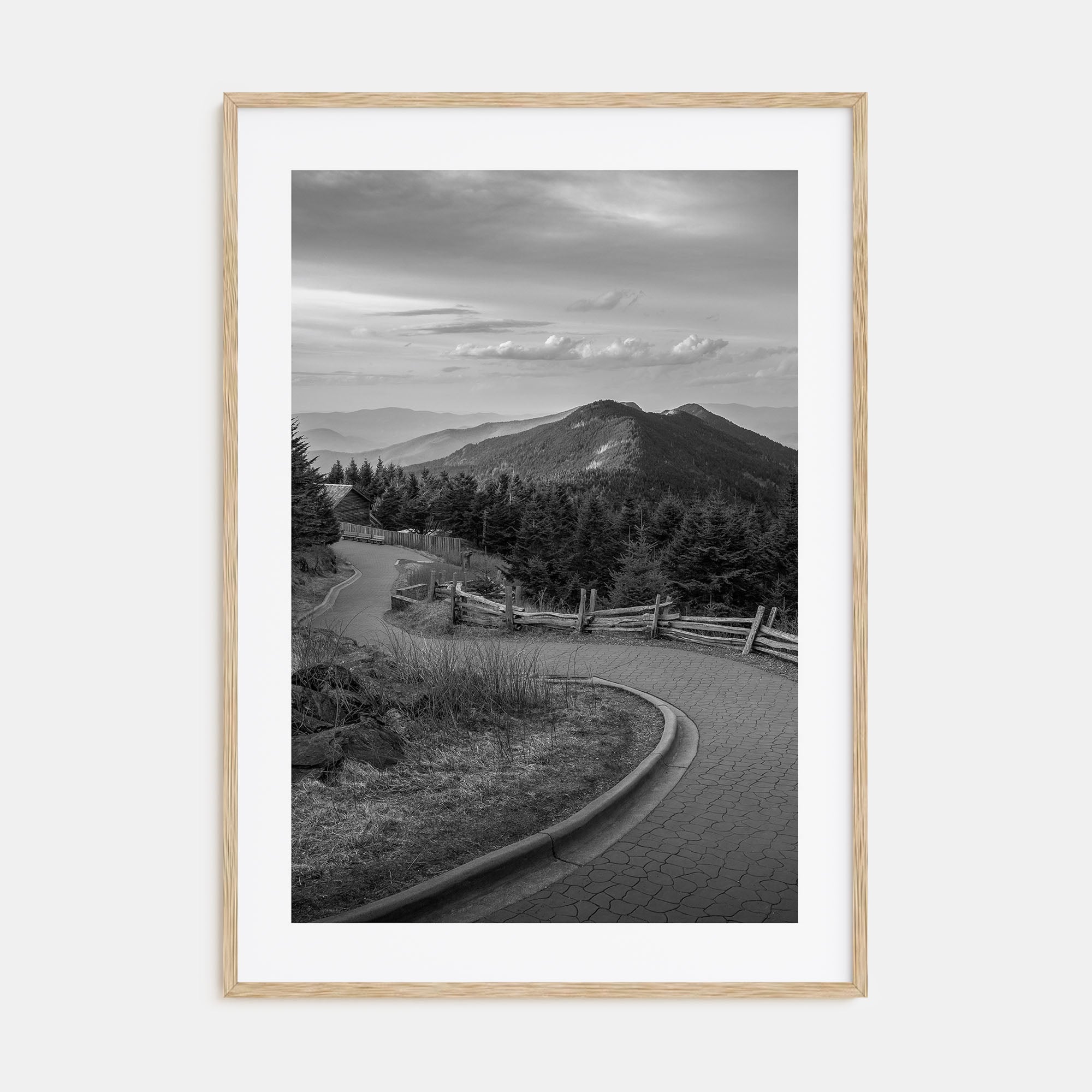 North Carolina Photo B&W No 2 Poster