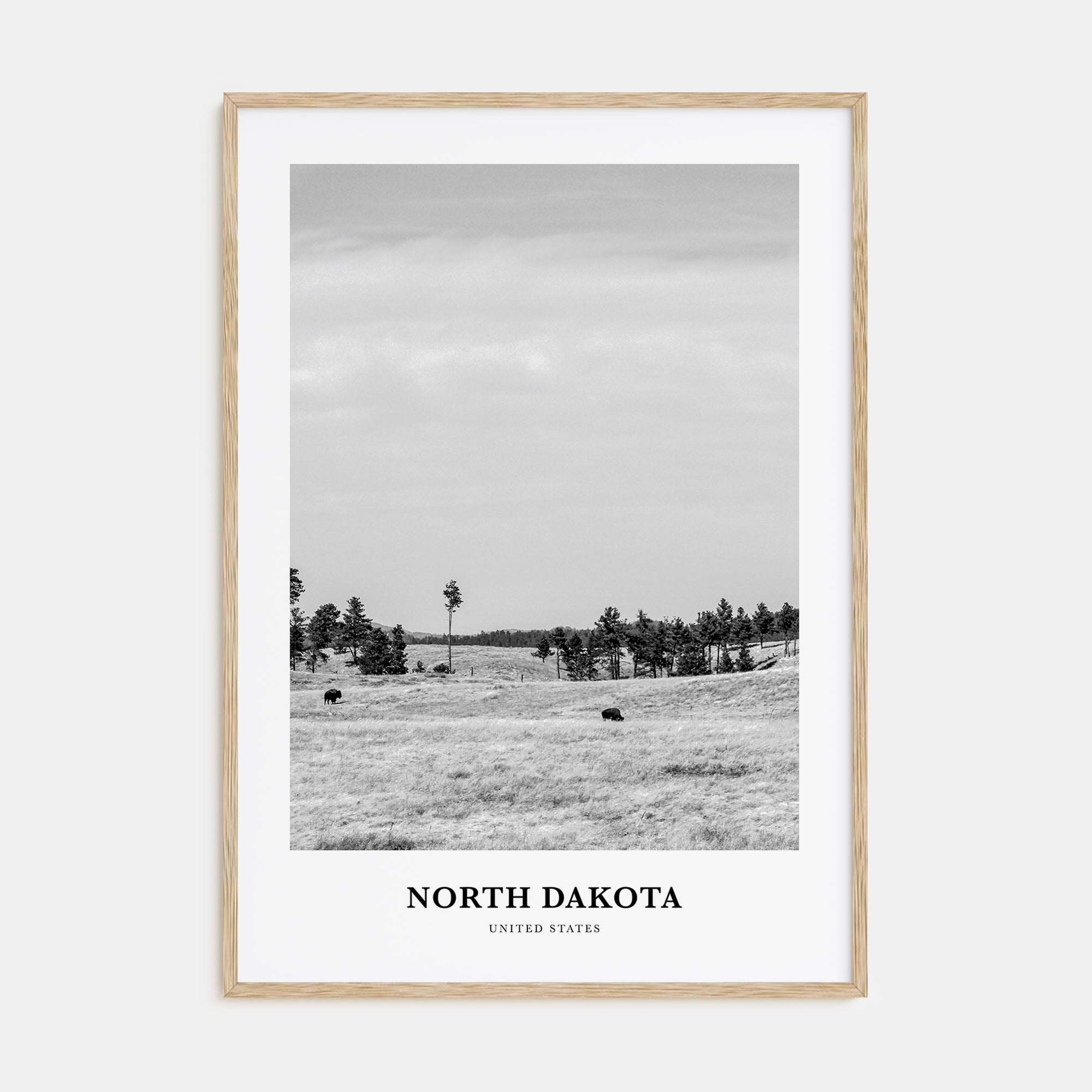 North Dakota Portrait B&W Poster