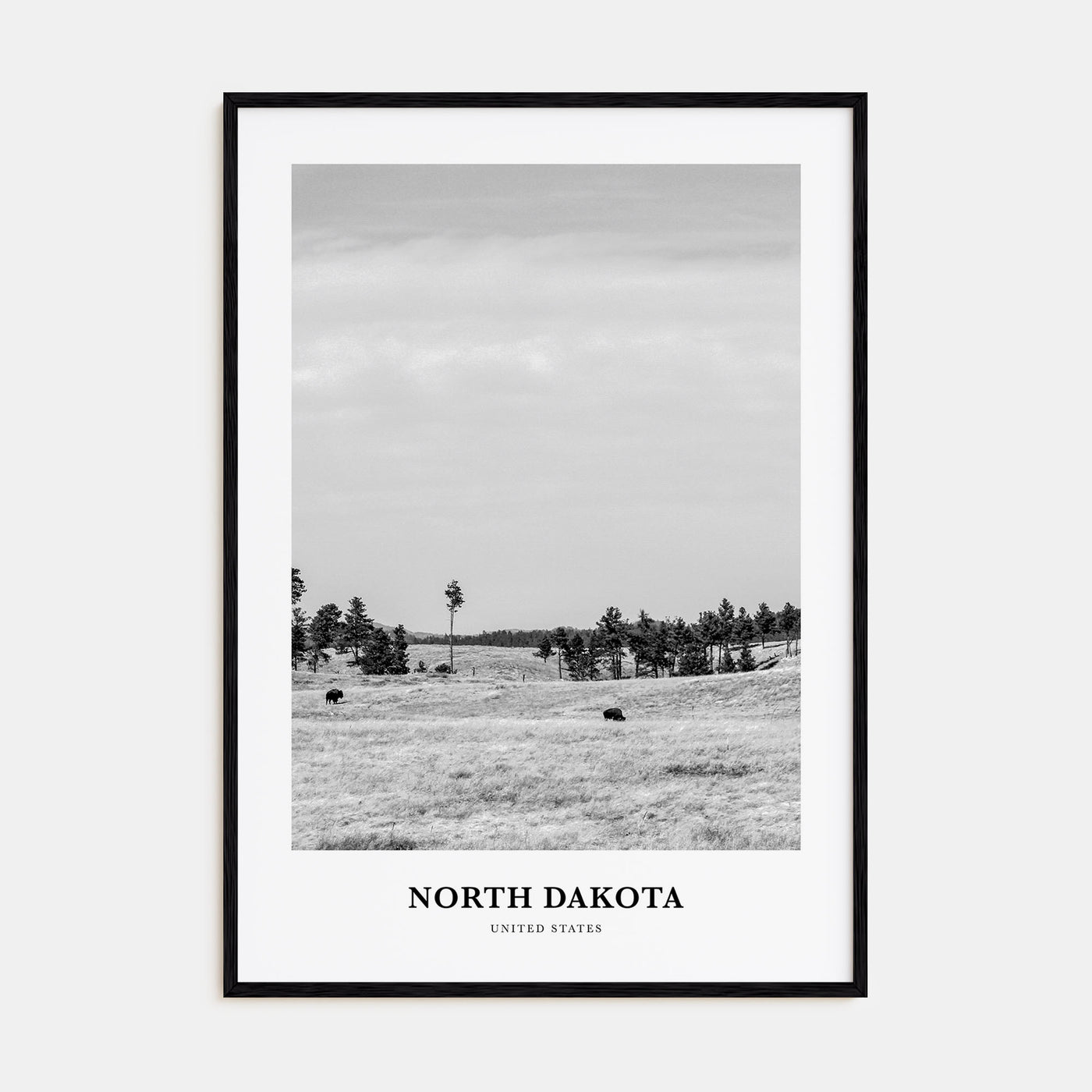 North Dakota Portrait B&W Poster