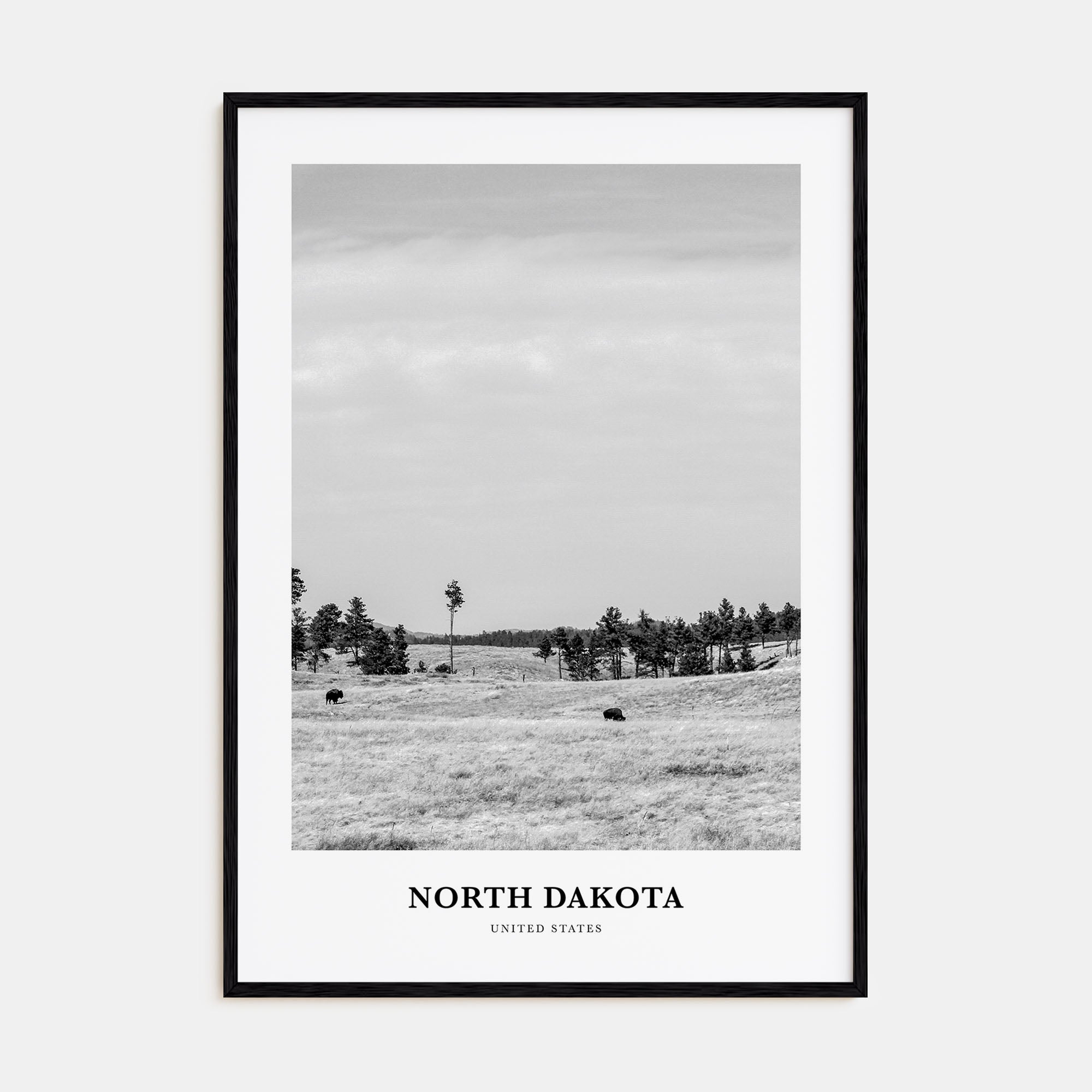 North Dakota Portrait B&W Poster
