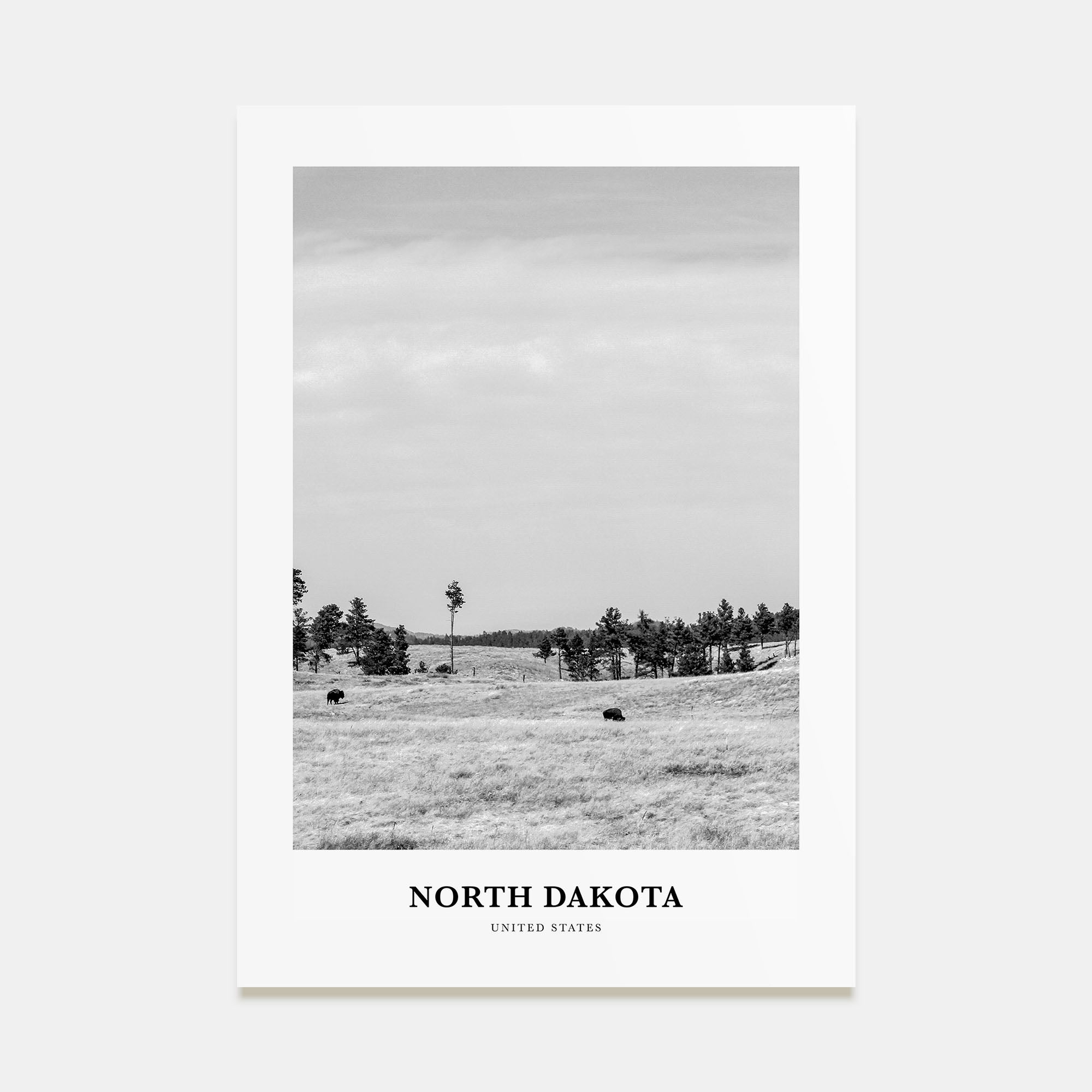 North Dakota Portrait B&W Poster