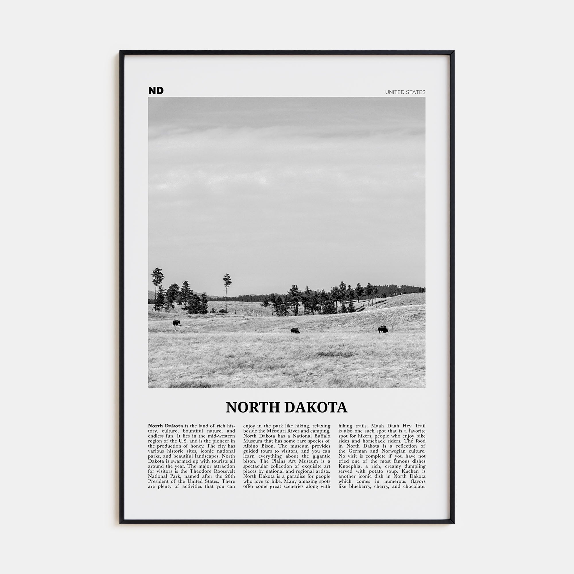 North Dakota Travel B&W No 2 Poster