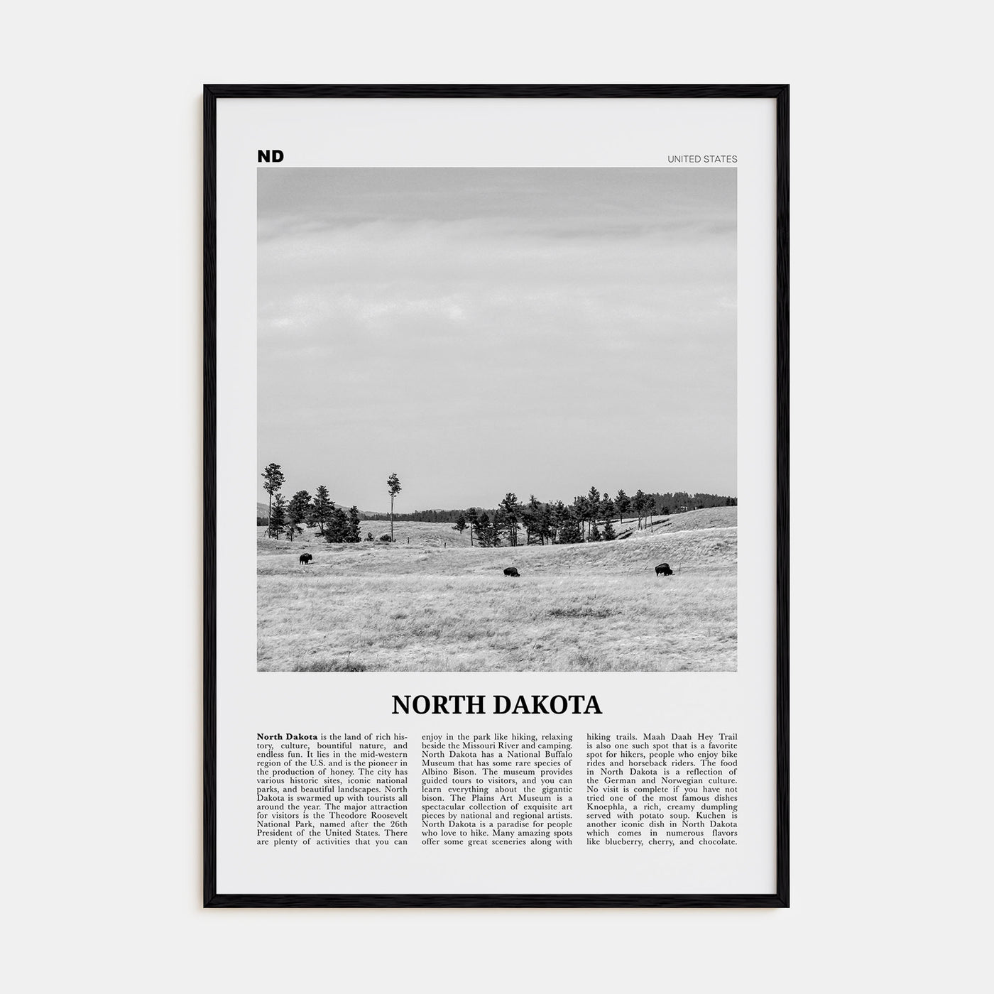 North Dakota Travel B&W No 2 Poster