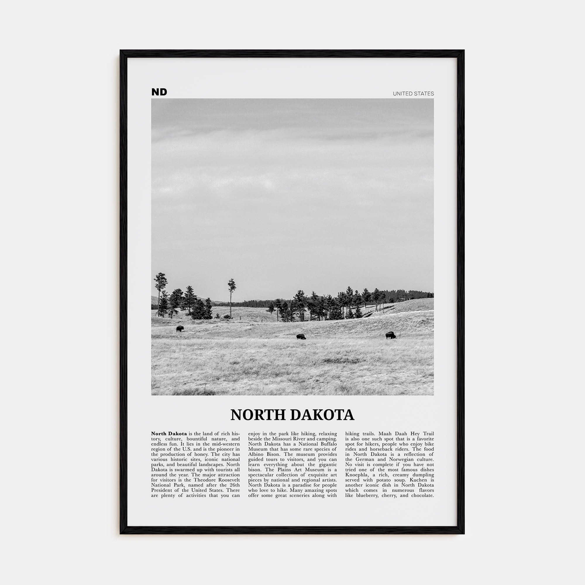 North Dakota Travel B&W No 2 Poster