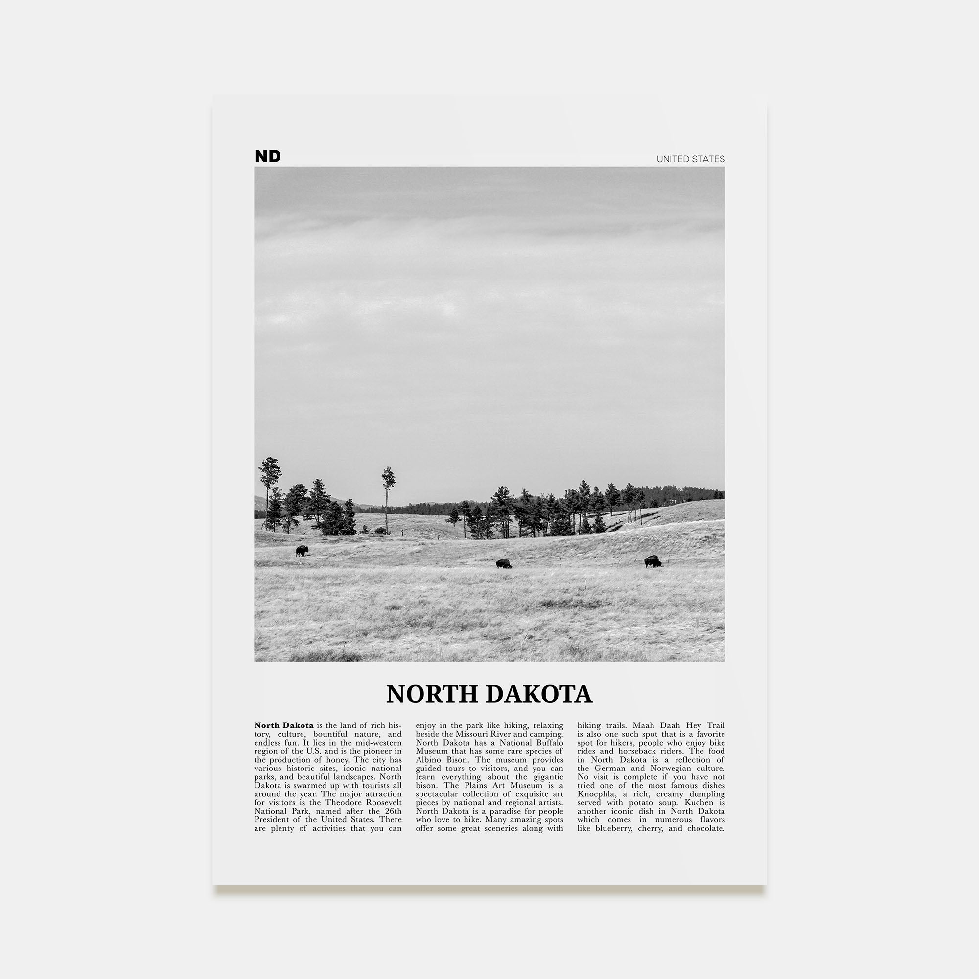 North Dakota Travel B&W No 2 Poster