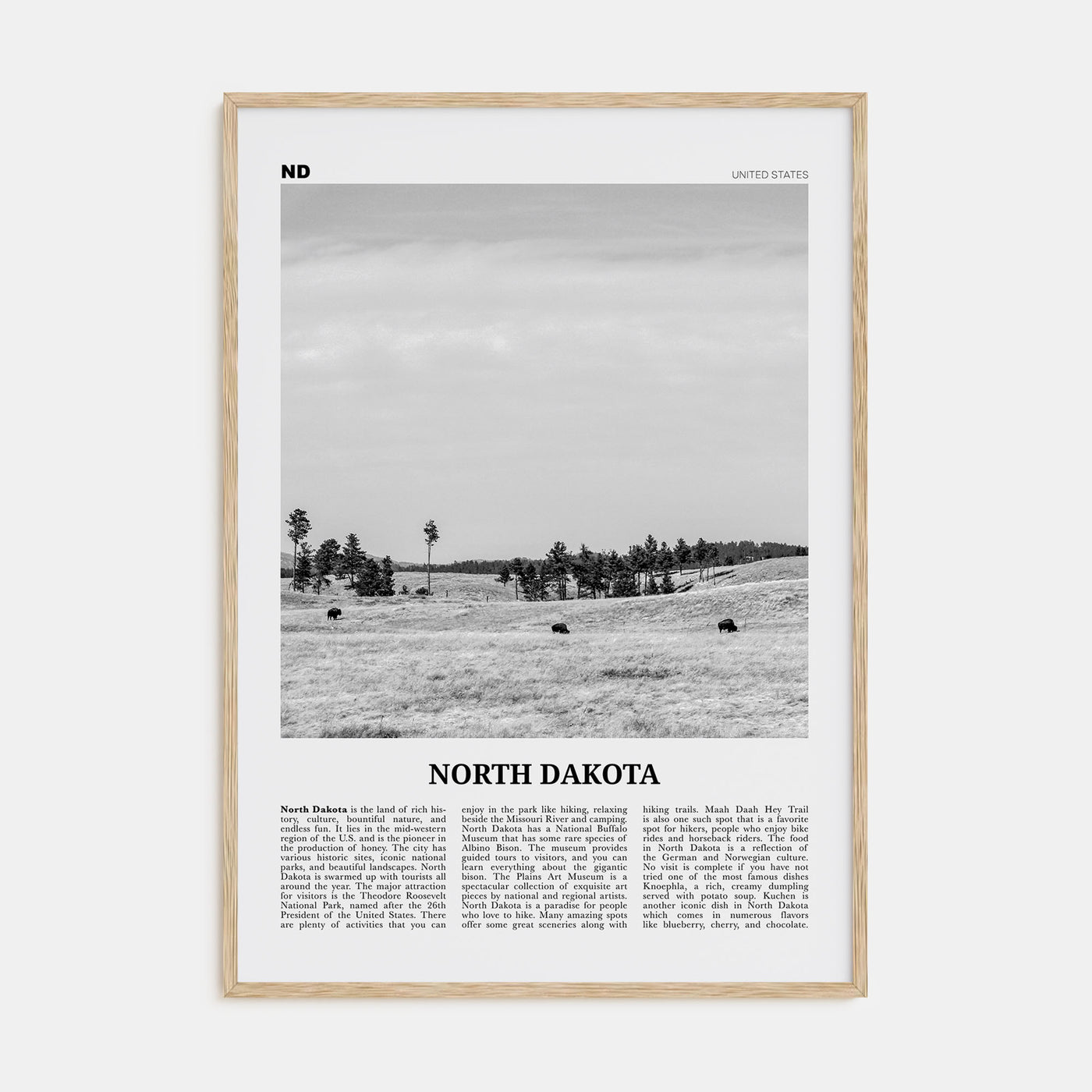 North Dakota Travel B&W No 2 Poster