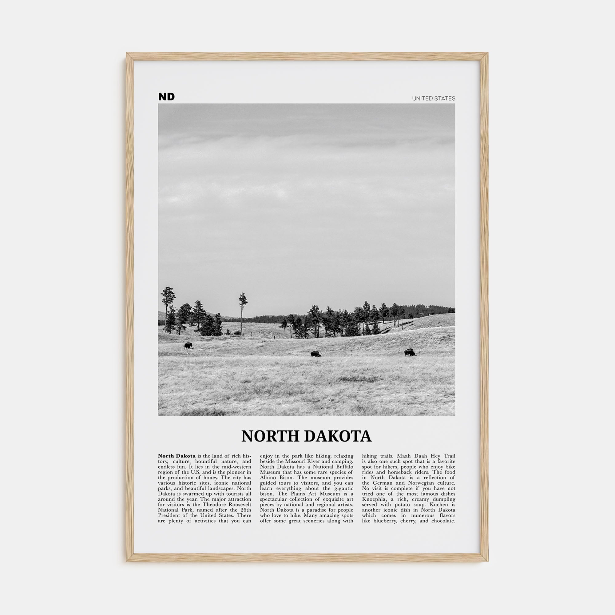 North Dakota Travel B&W No 2 Poster