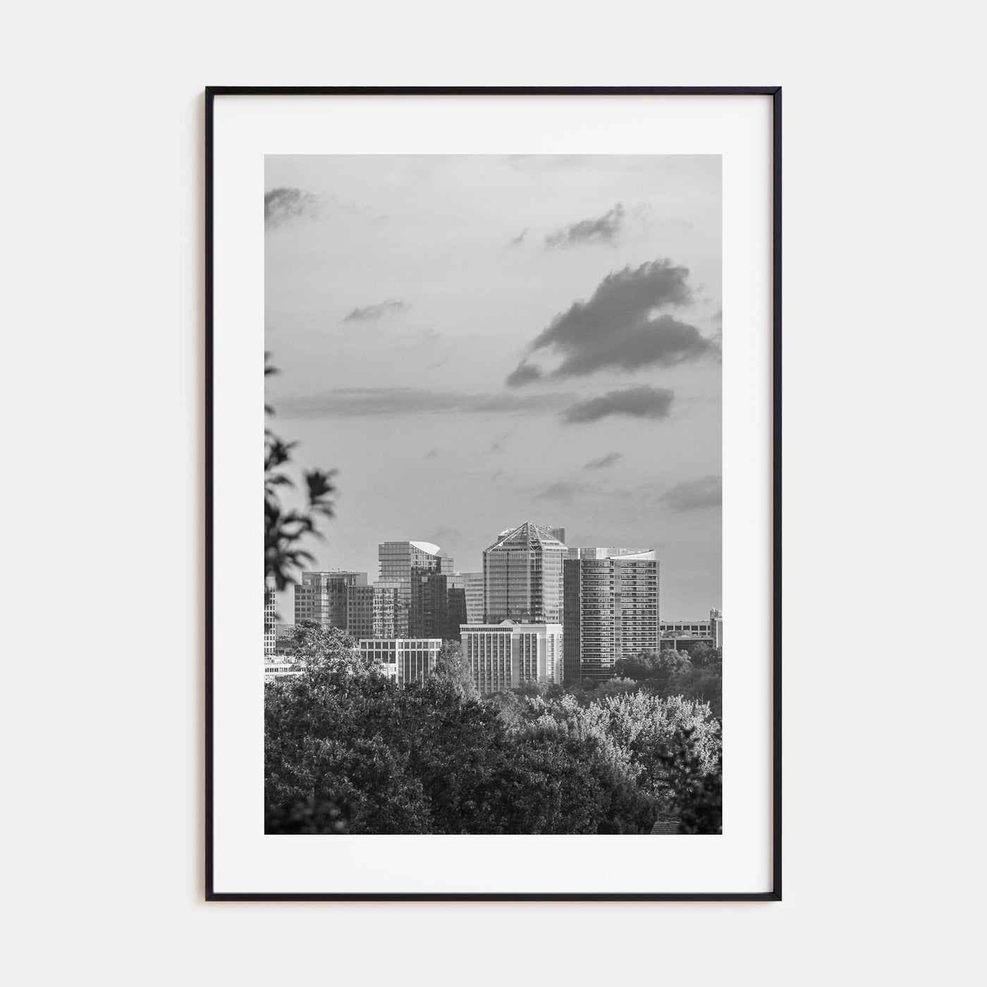 Northern Virginia Photo B&W Poster