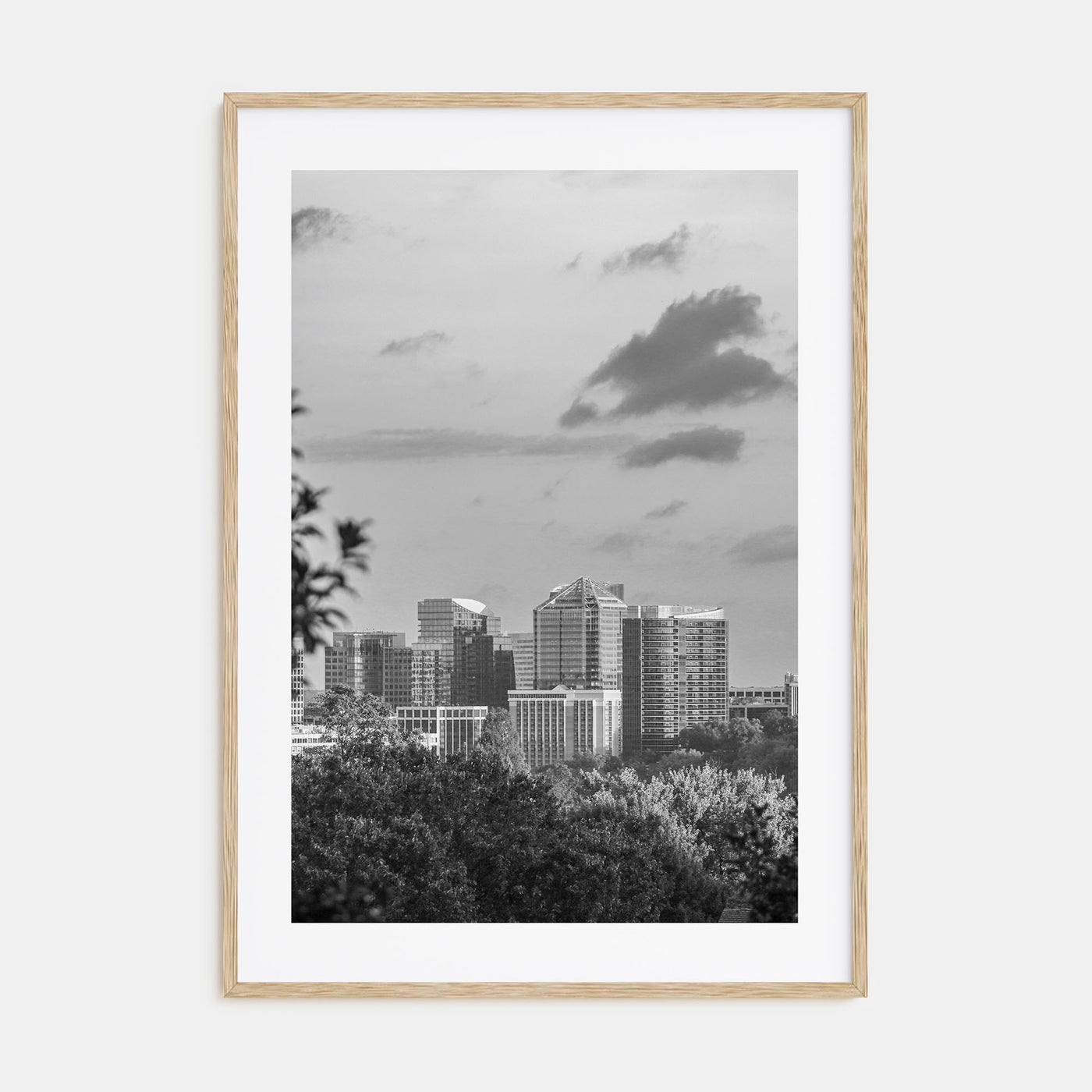 Northern Virginia Photo B&W Poster