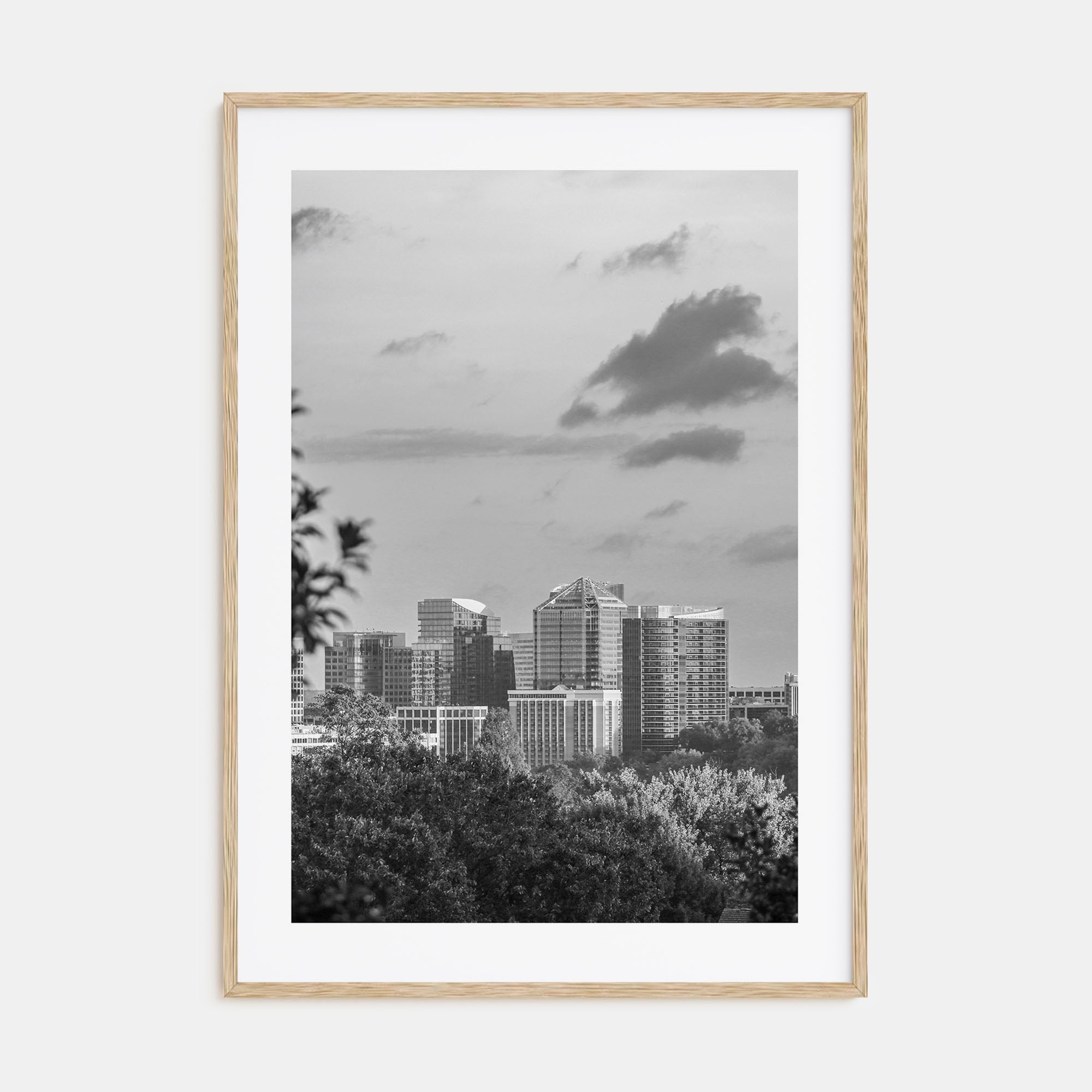 Northern Virginia Photo B&W Poster