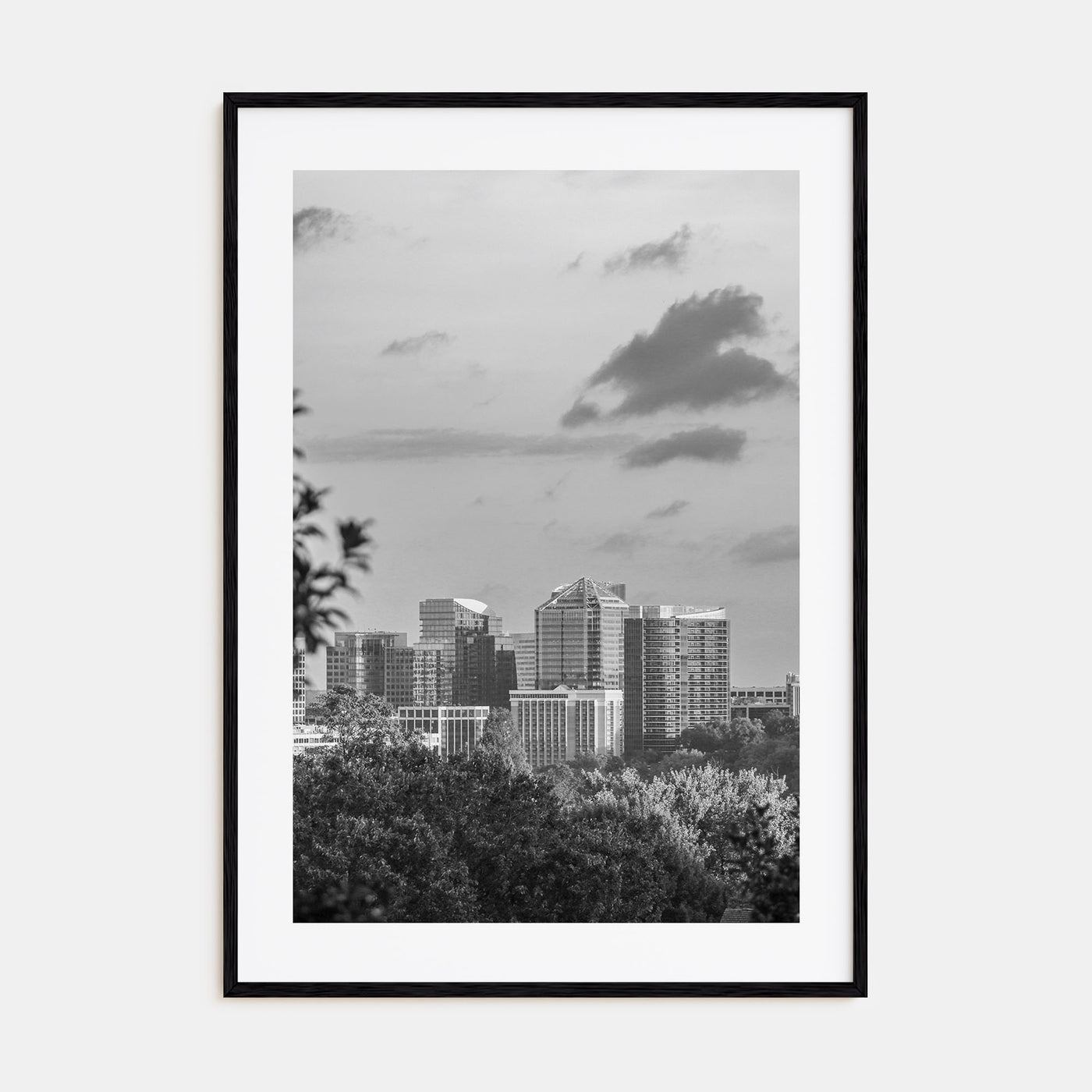 Northern Virginia Photo B&W Poster