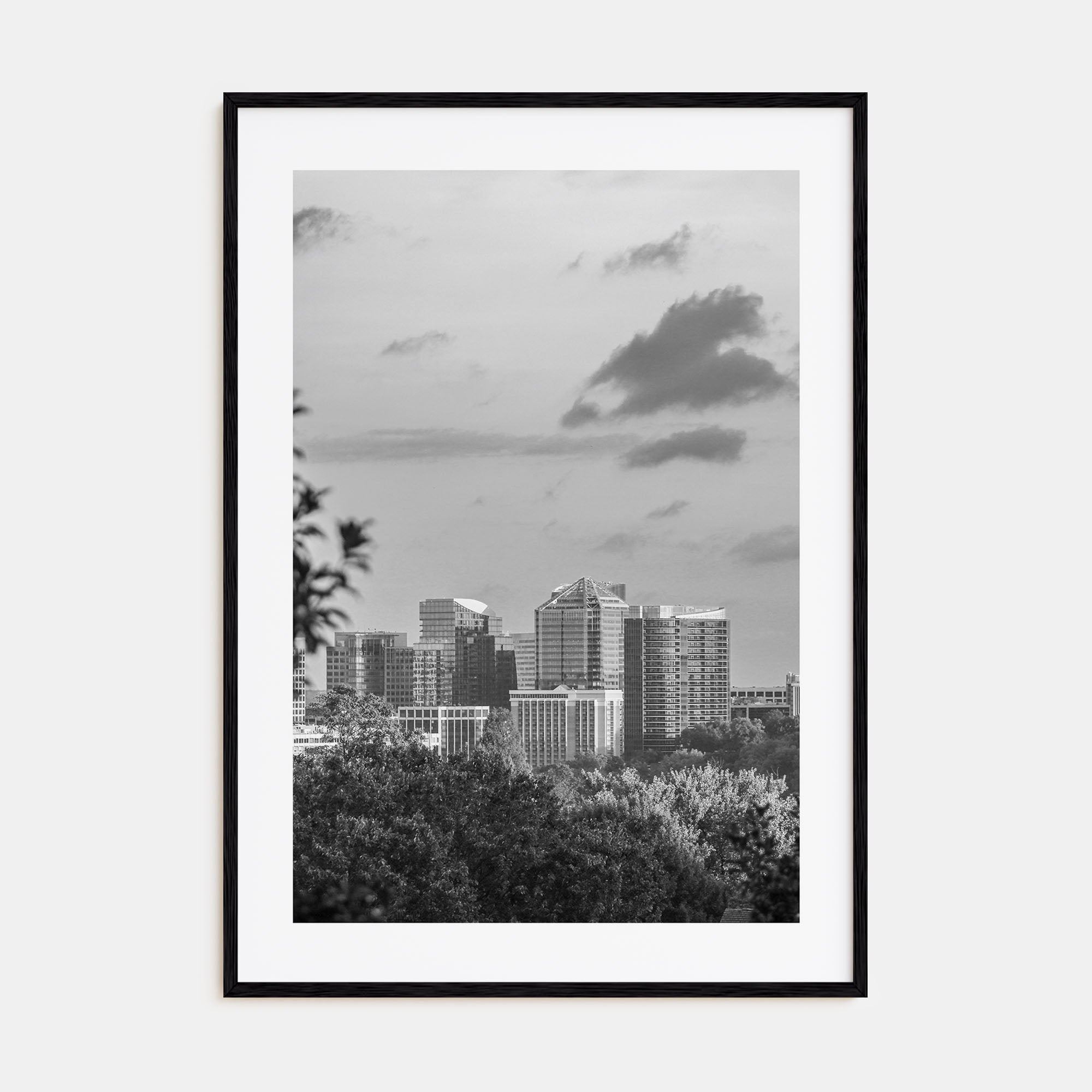 Northern Virginia Photo B&W Poster