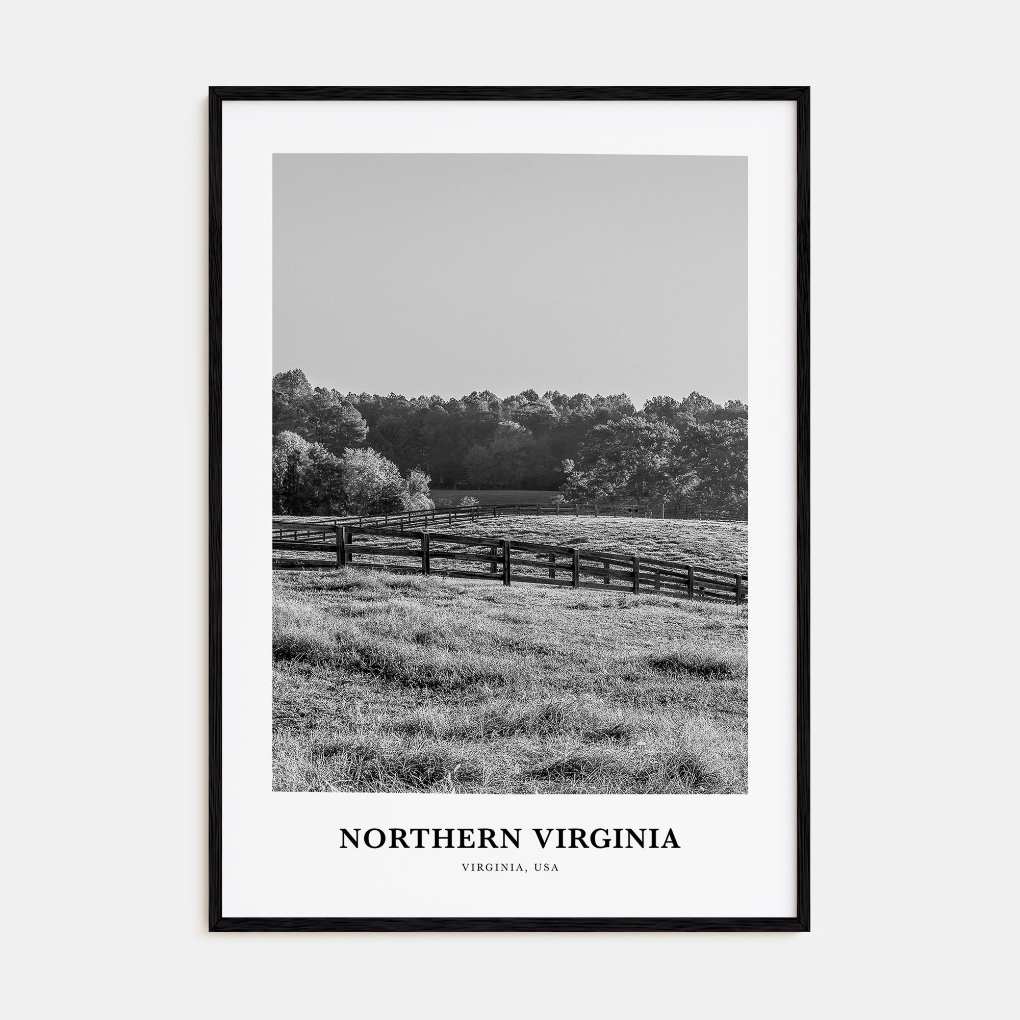 Northern Virginia Portrait B&W Poster