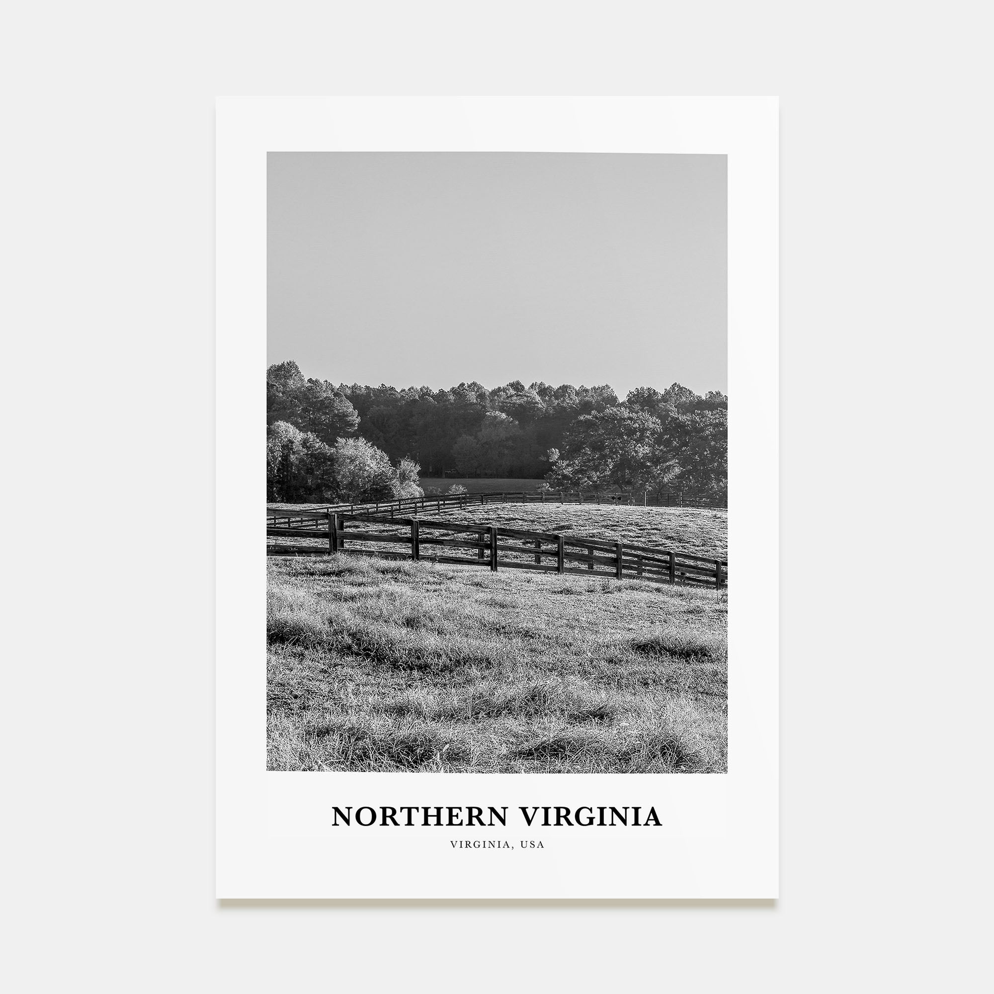 Northern Virginia Portrait B&W Poster