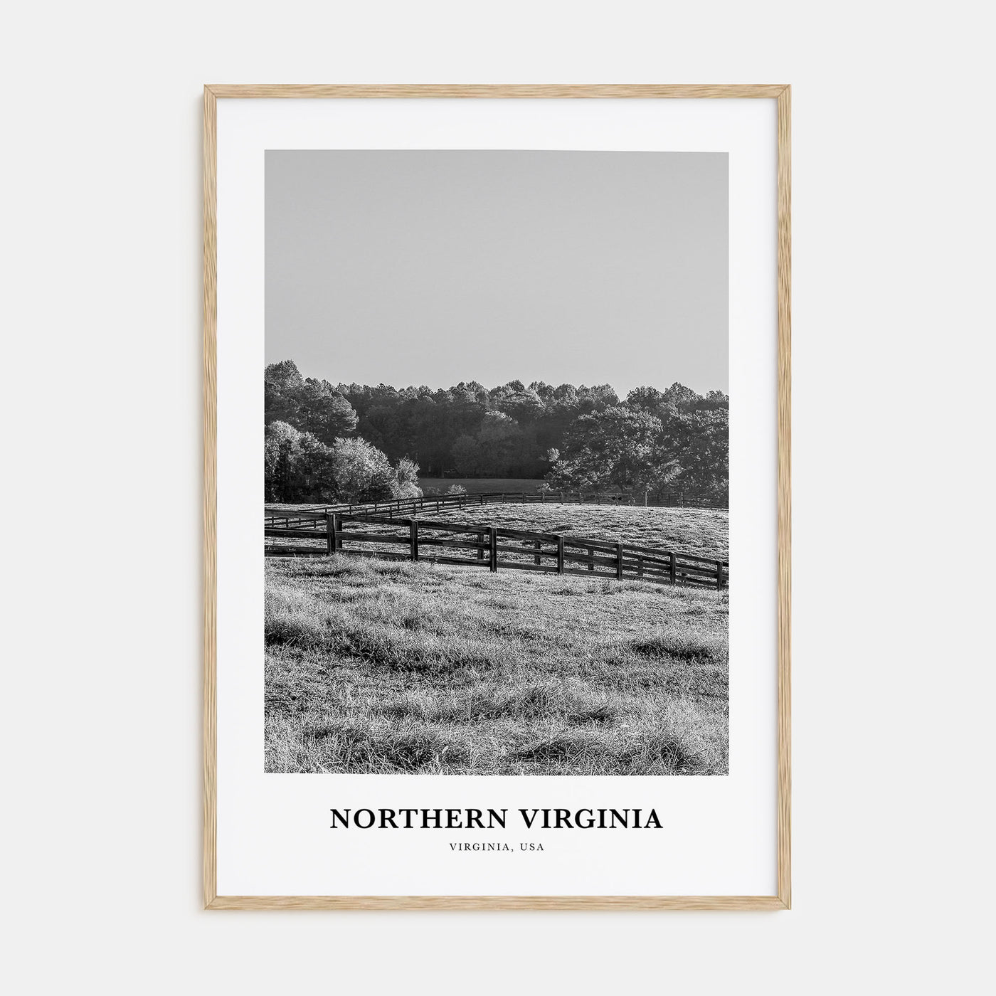 Northern Virginia Portrait B&W Poster