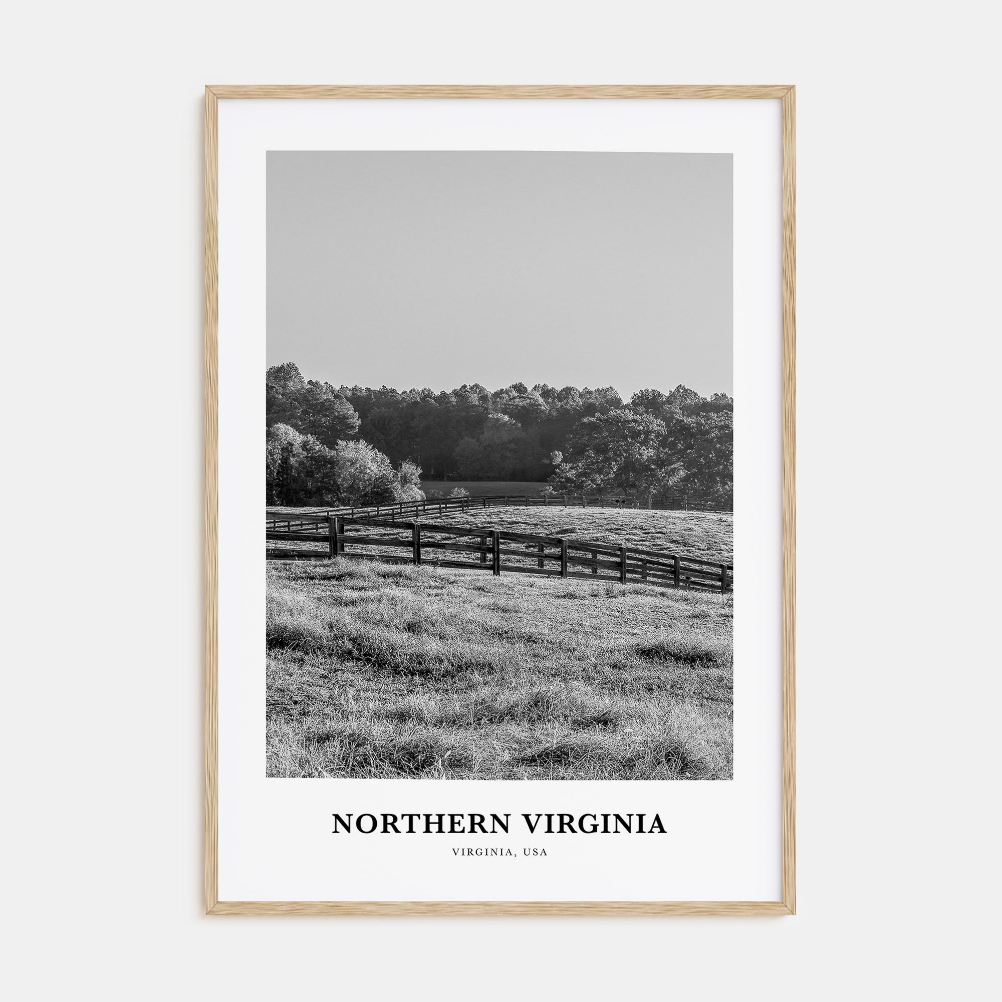 Northern Virginia Portrait B&W Poster