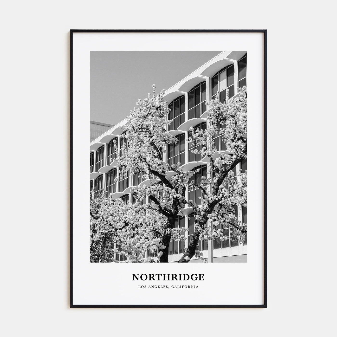 Northridge Portrait B&W Poster