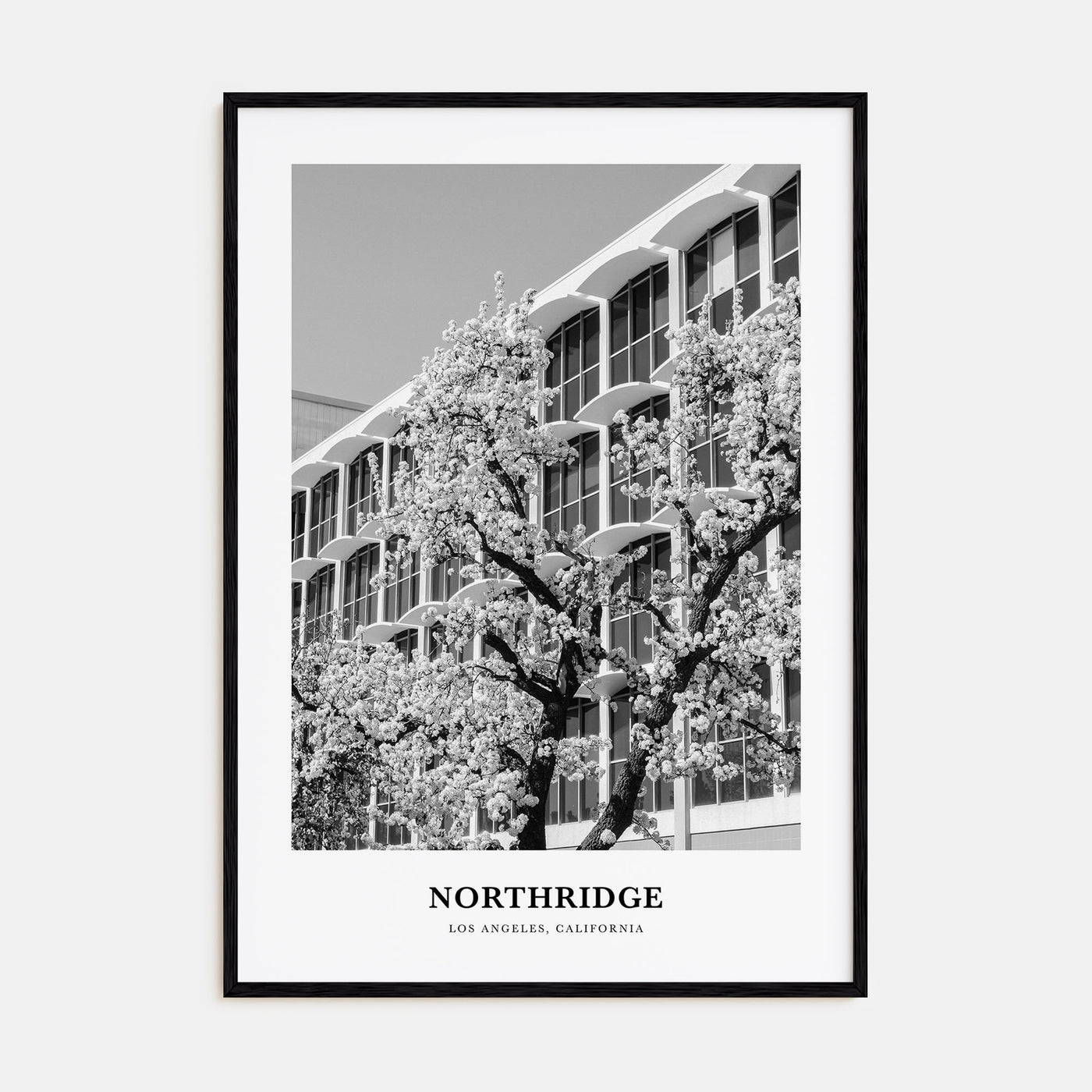 Northridge Portrait B&W Poster