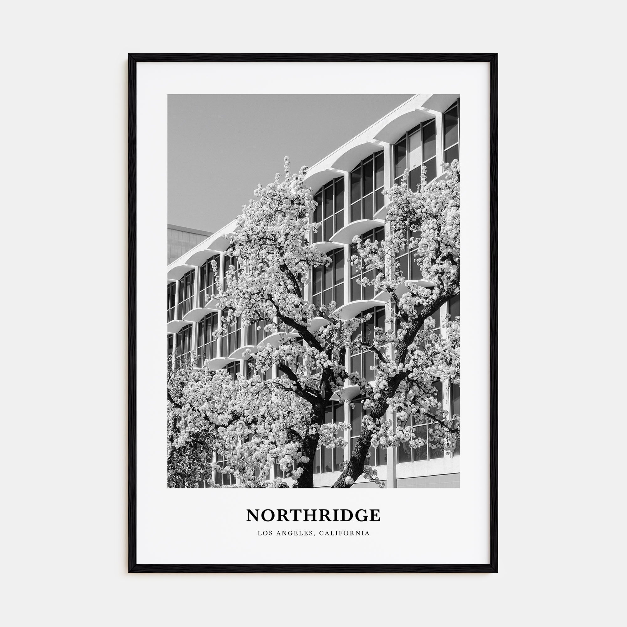 Northridge Portrait B&W Poster