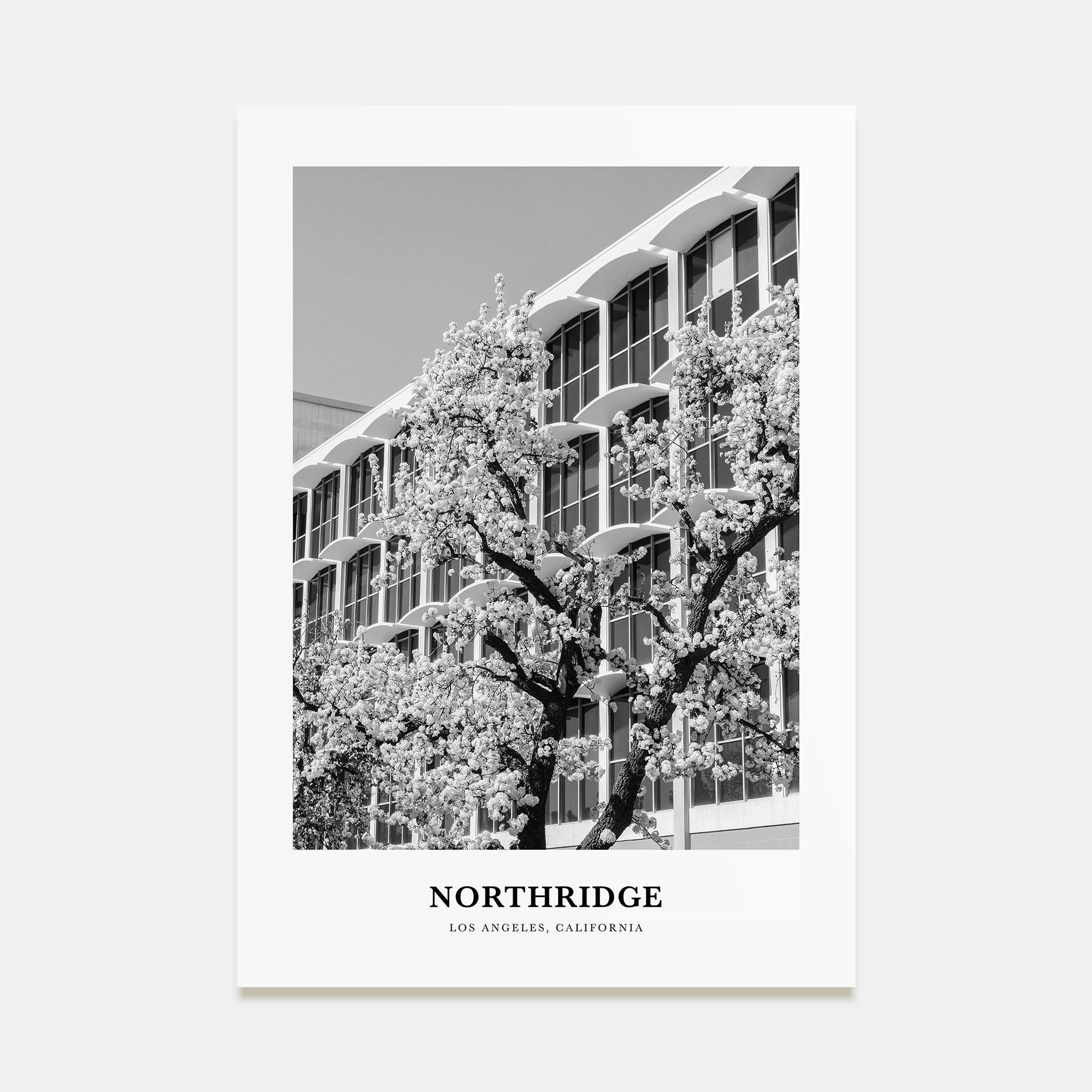 Northridge Portrait B&W Poster