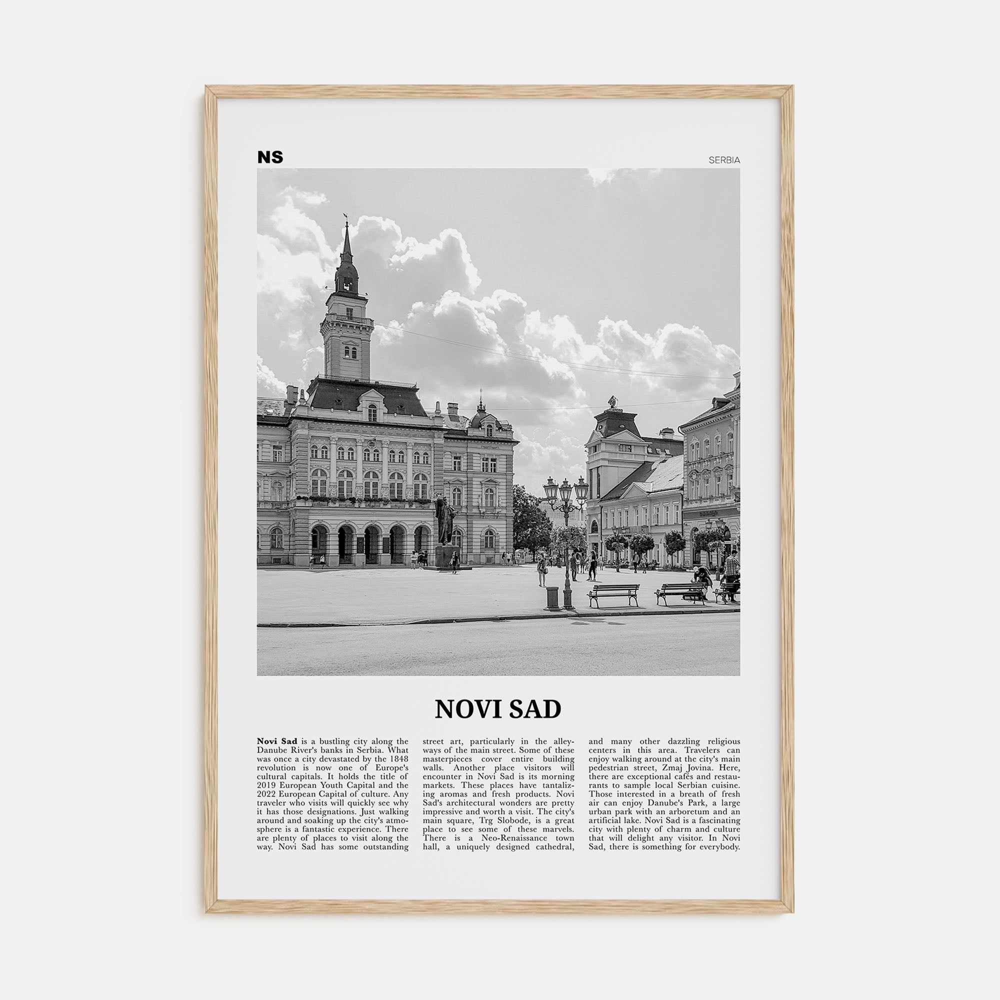 Novi Sad Travel B&W Poster
