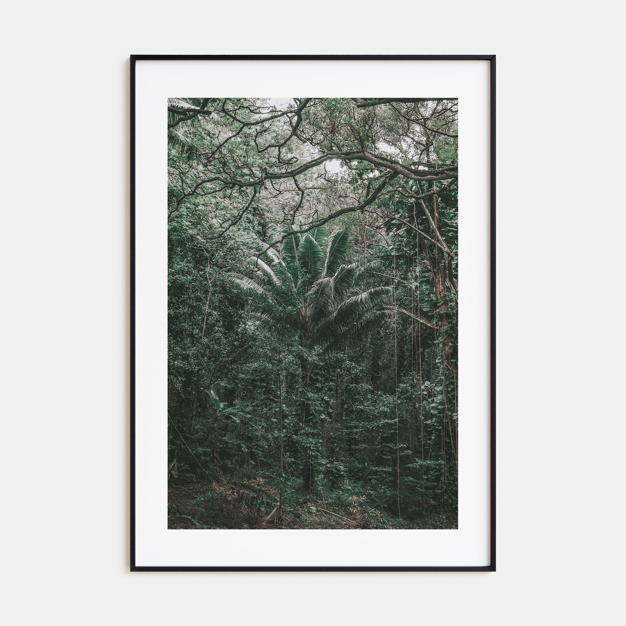 O‘ahu Photo Color No 3 Poster