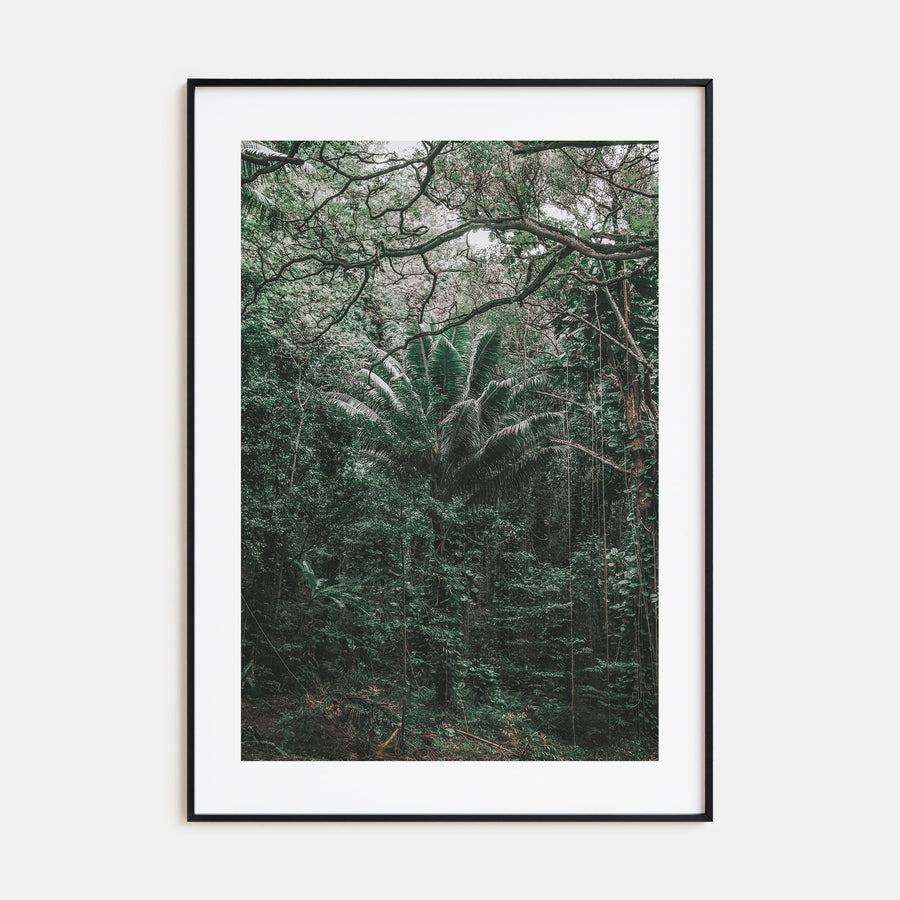 O‘ahu Photo Color No 3 Poster